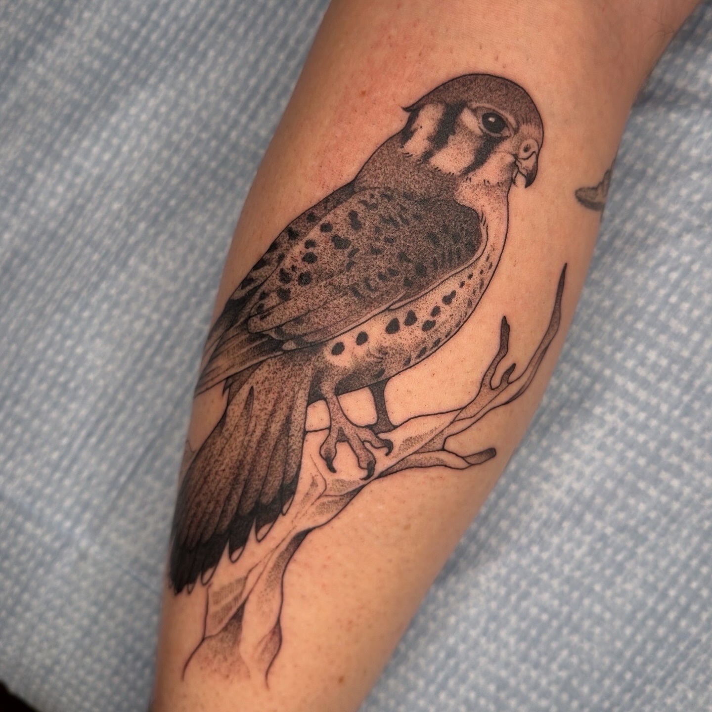 Tattoo by @juleghoul — dotwork