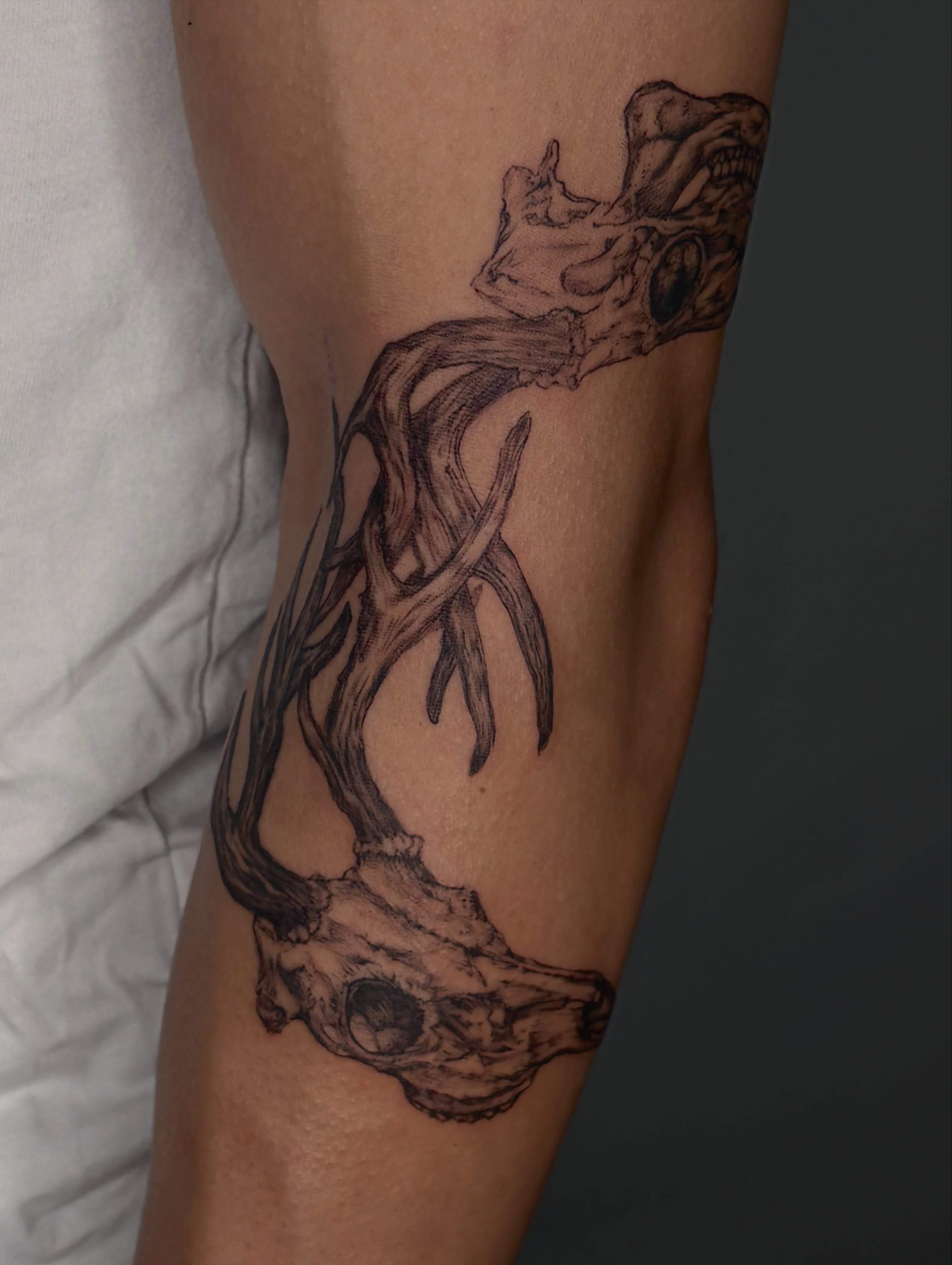 Deer skull and antlers realism tattoo on the forearm by Olivia