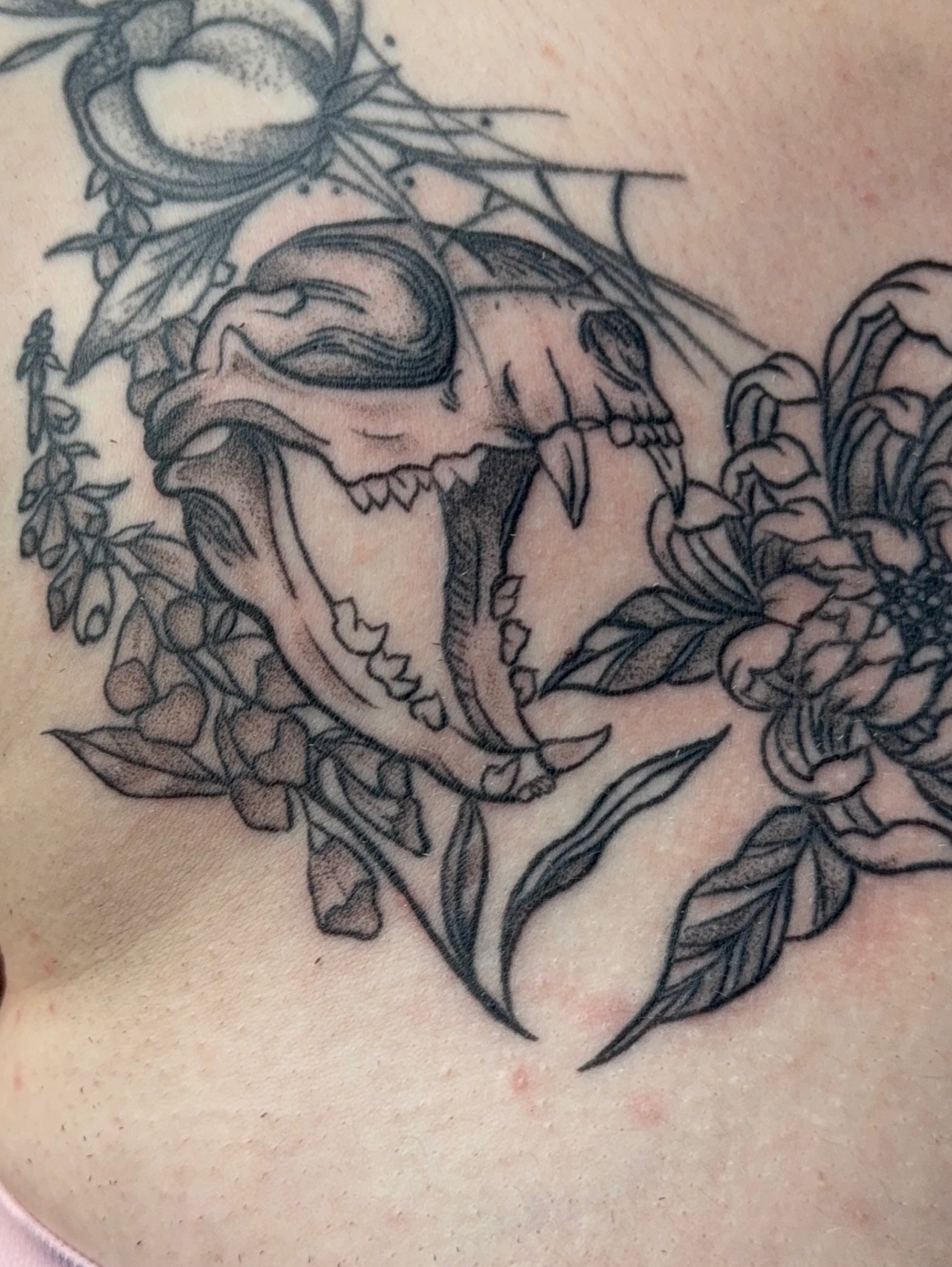 Tattoo by @toots_tattoos β black_and_grey