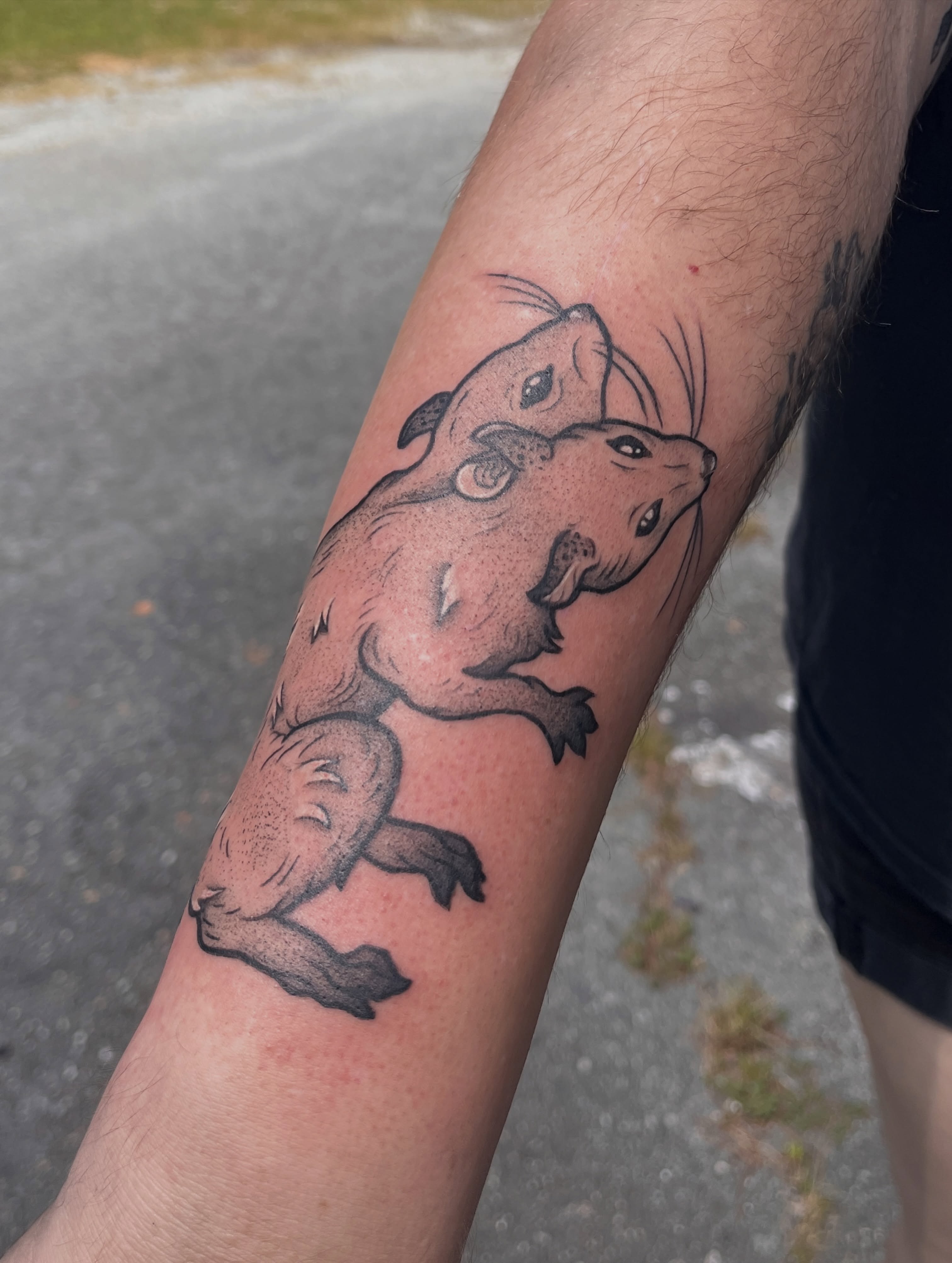 Guinea pigs dotwork tattoo on the forearm by Anya💋~NC Tattoo Artist
