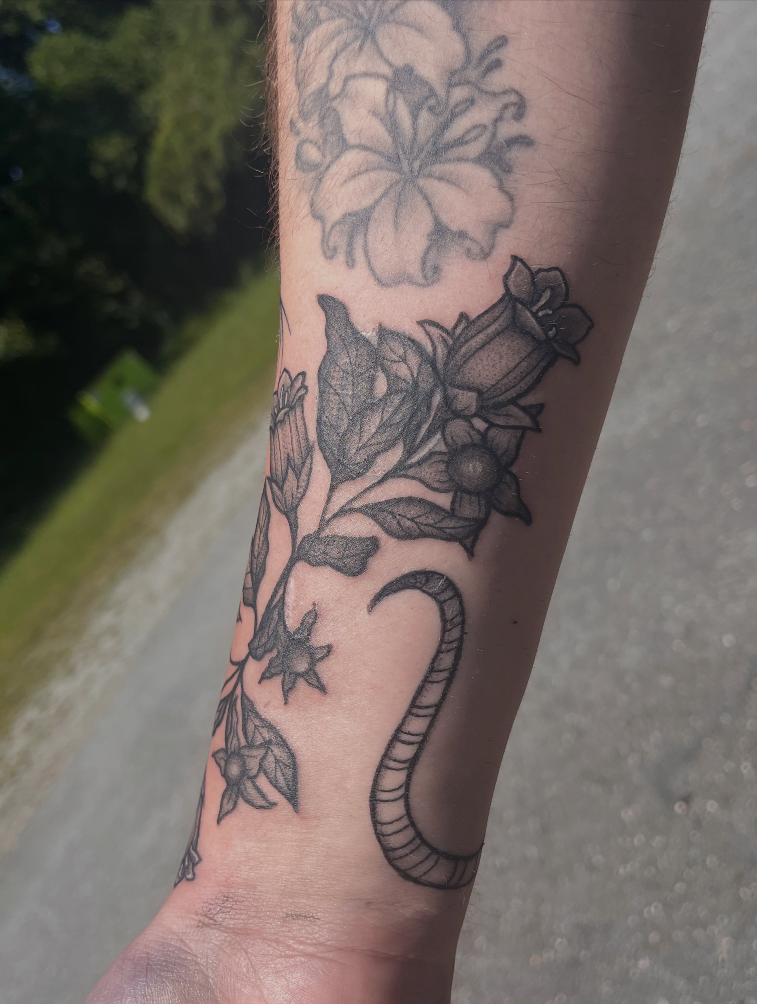 Tattoo by @anya.artistry.tattoos — black_and_grey
