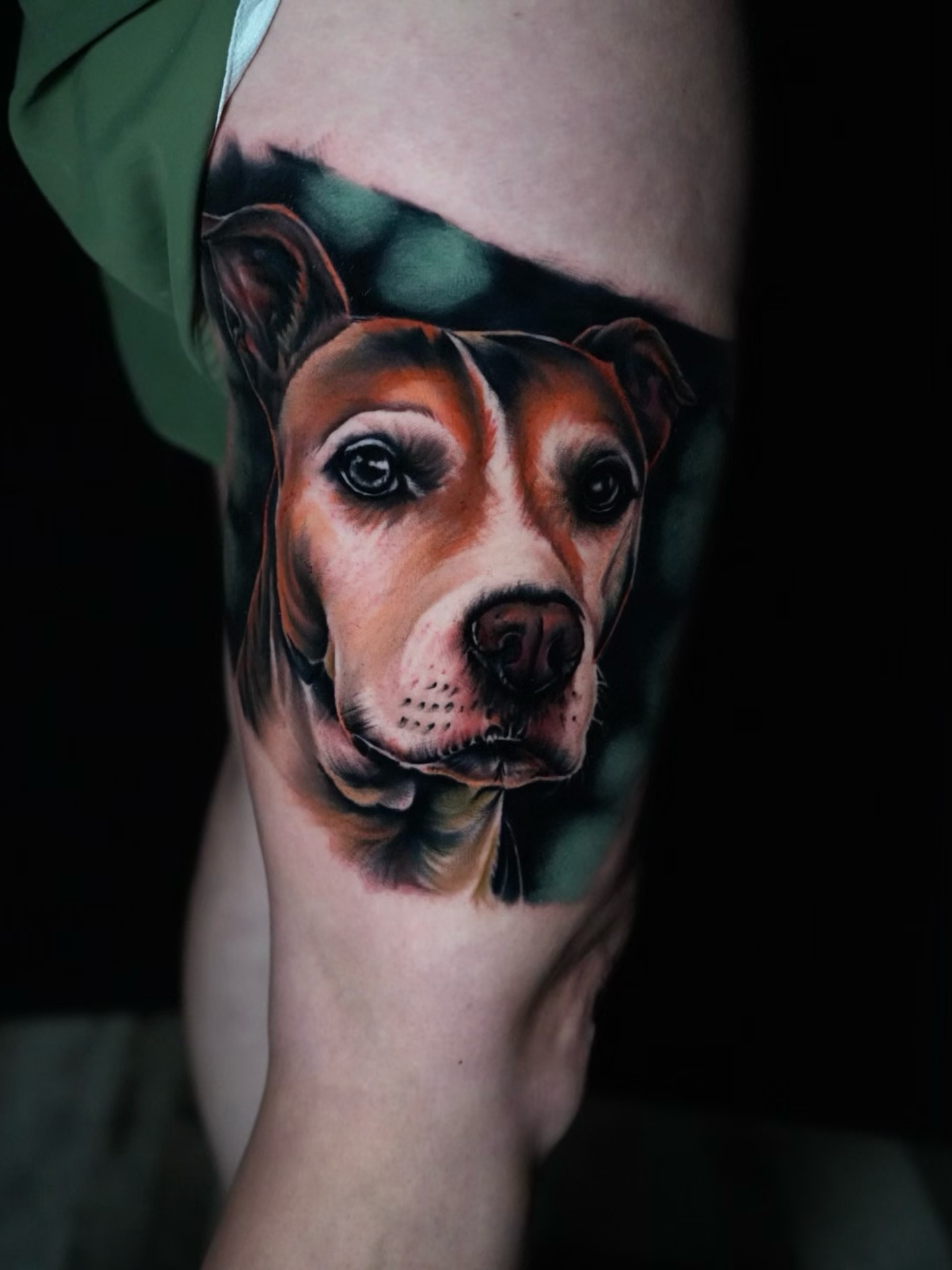 Dog realism tattoo on the forearm by Zach Ashton