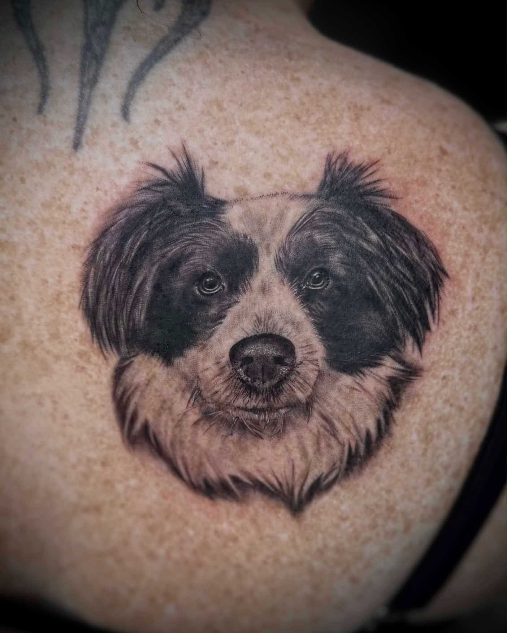 Dog realism tattoo on the back by Tattoos by Katherina, Willoughby, Ohio