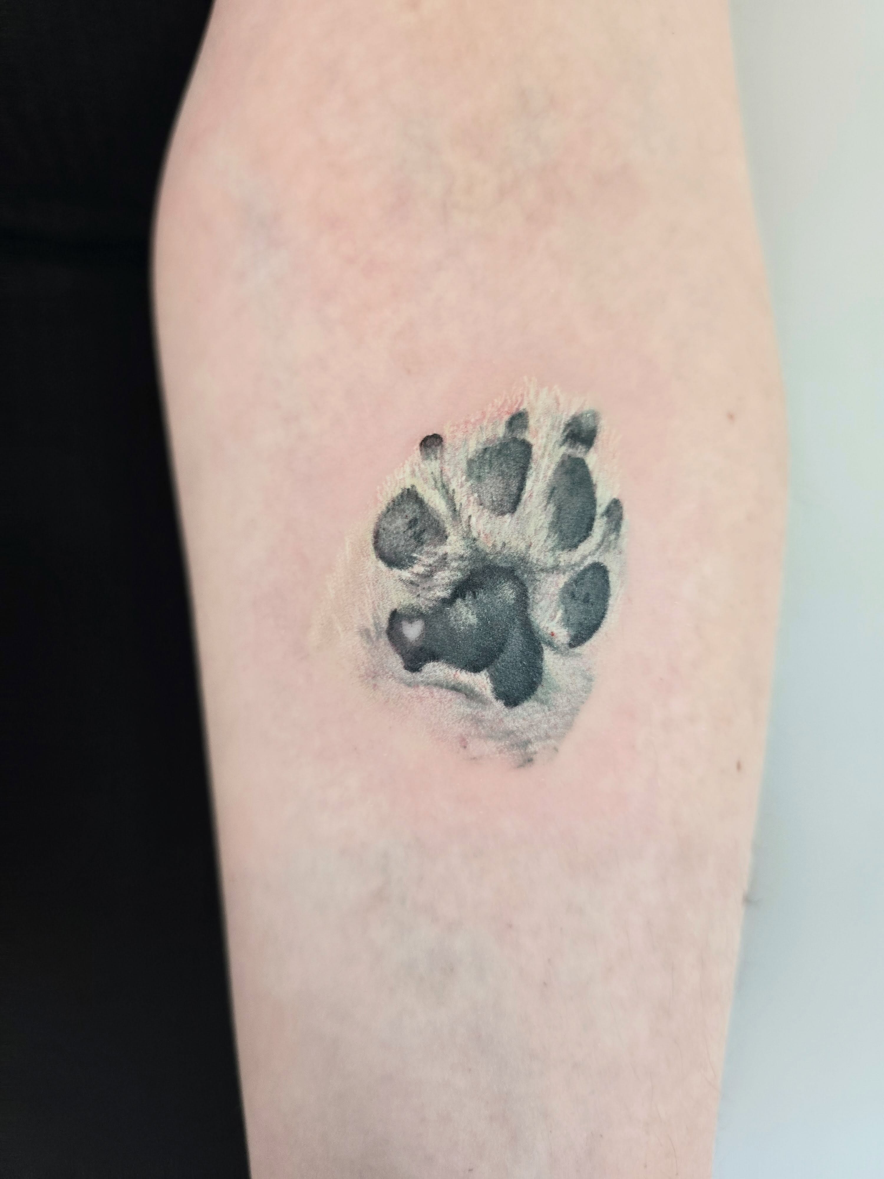 Paw print dotwork tattoo on the forearm by 🖤🥀🐉Taylor Nichole👻🌙✨️