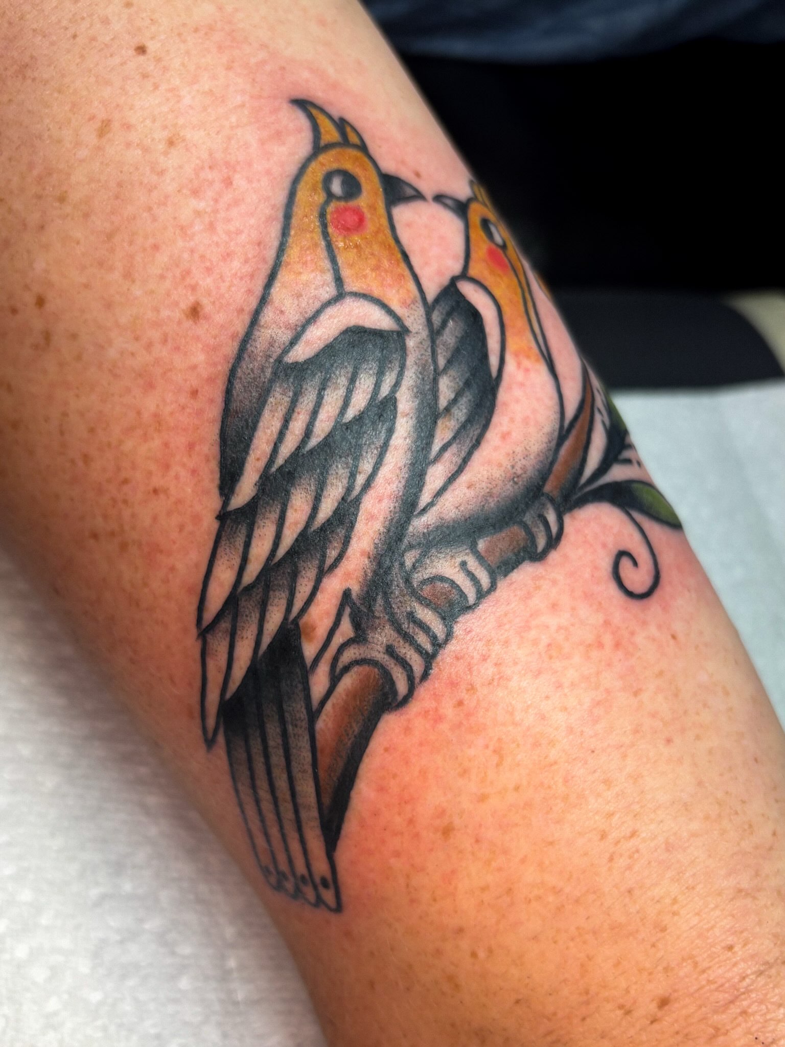 Birds American traditional tattoo on the forearm by Katelyn Spence