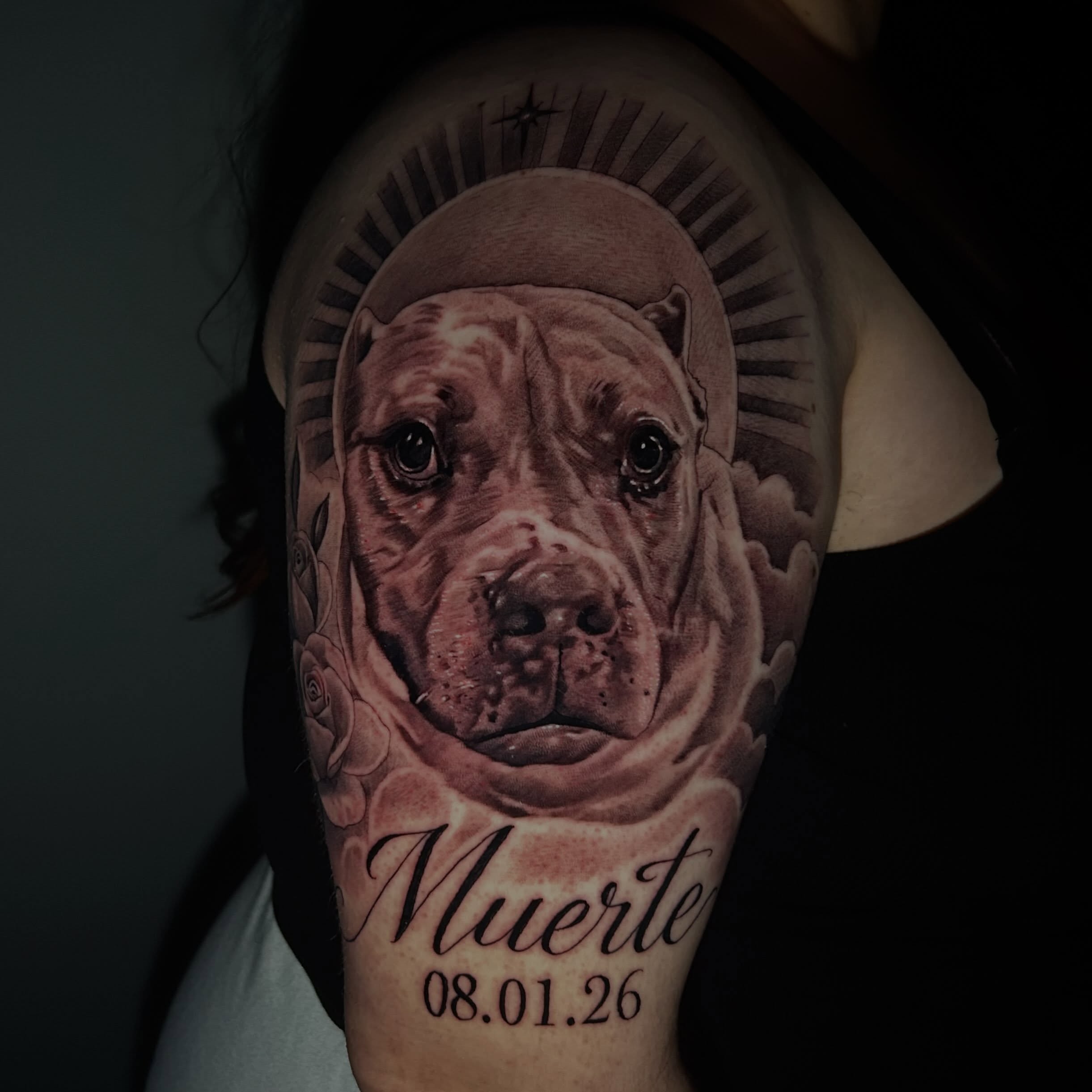 Pit bull realism tattoo on the shoulder by Alex Cruz 707