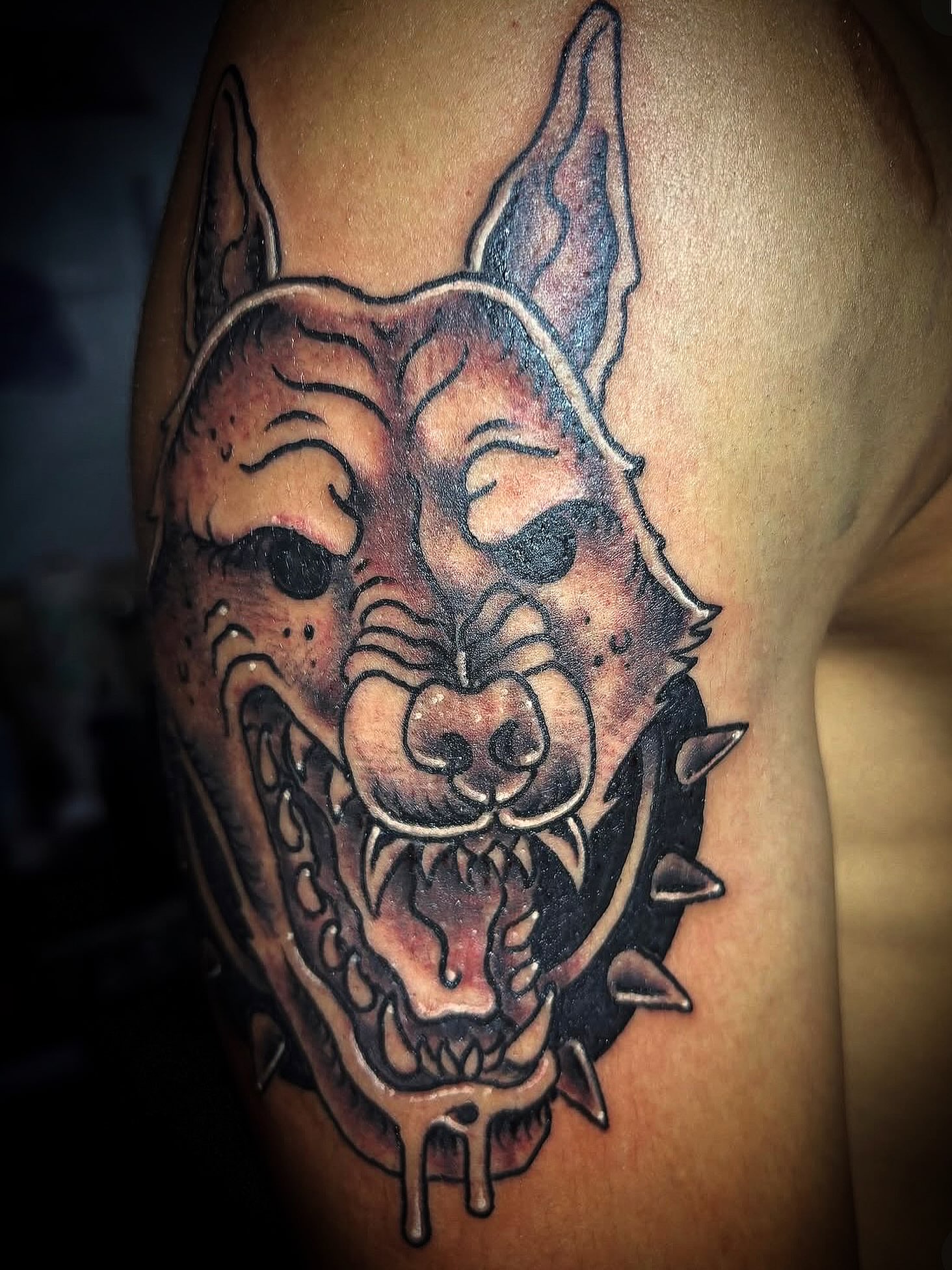 Dog American traditional tattoo on the shoulder by Visionary Tattoos