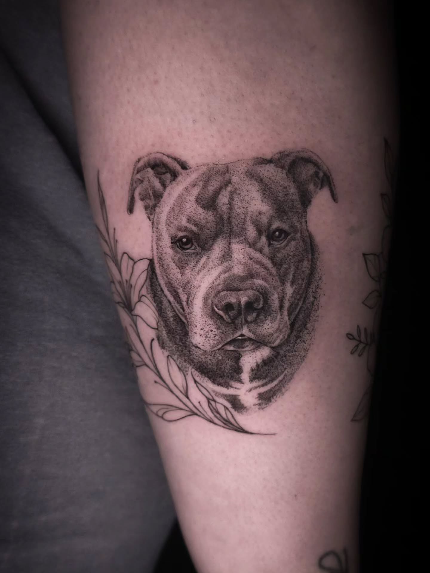 Pit bull dotwork tattoo on the forearm by Viktoriia ▪︎ Tattoo ▪︎ Chicago ▪︎ Naperville