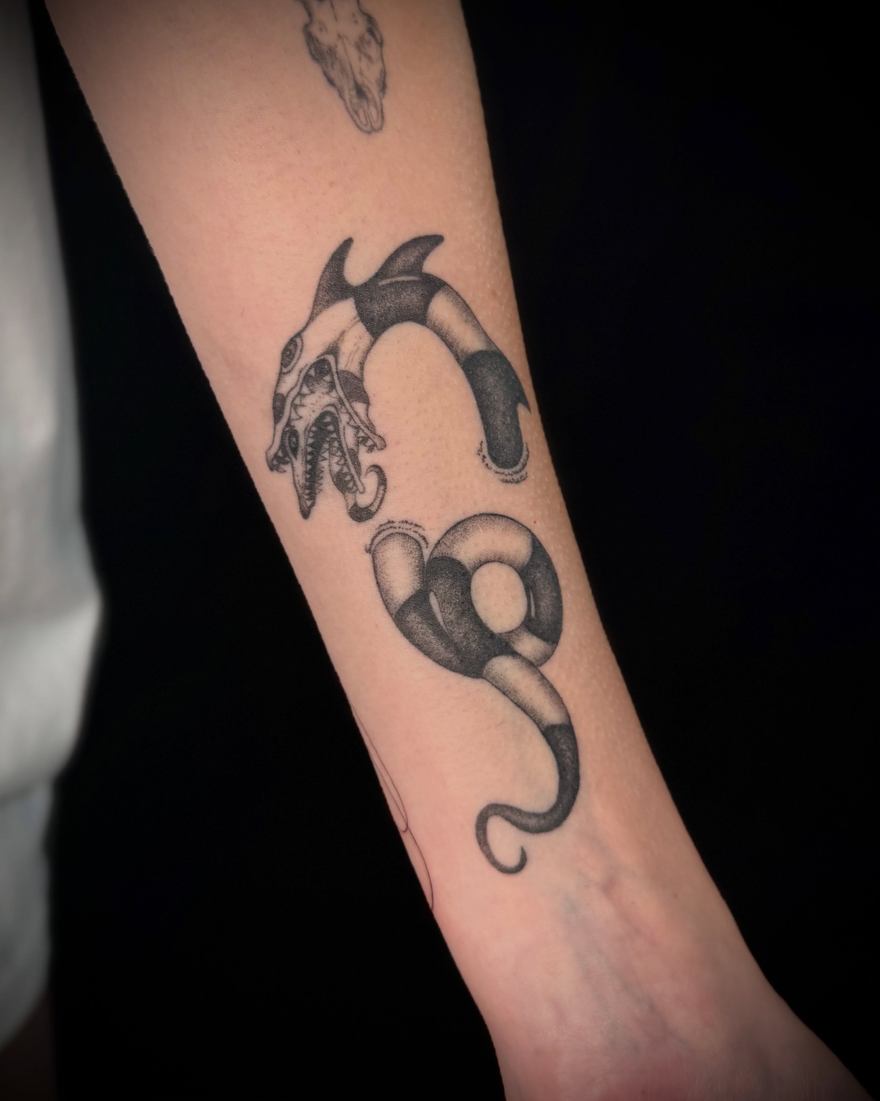 Orca and snake dotwork tattoo on the forearm by alyssa ⋆₊ ♱