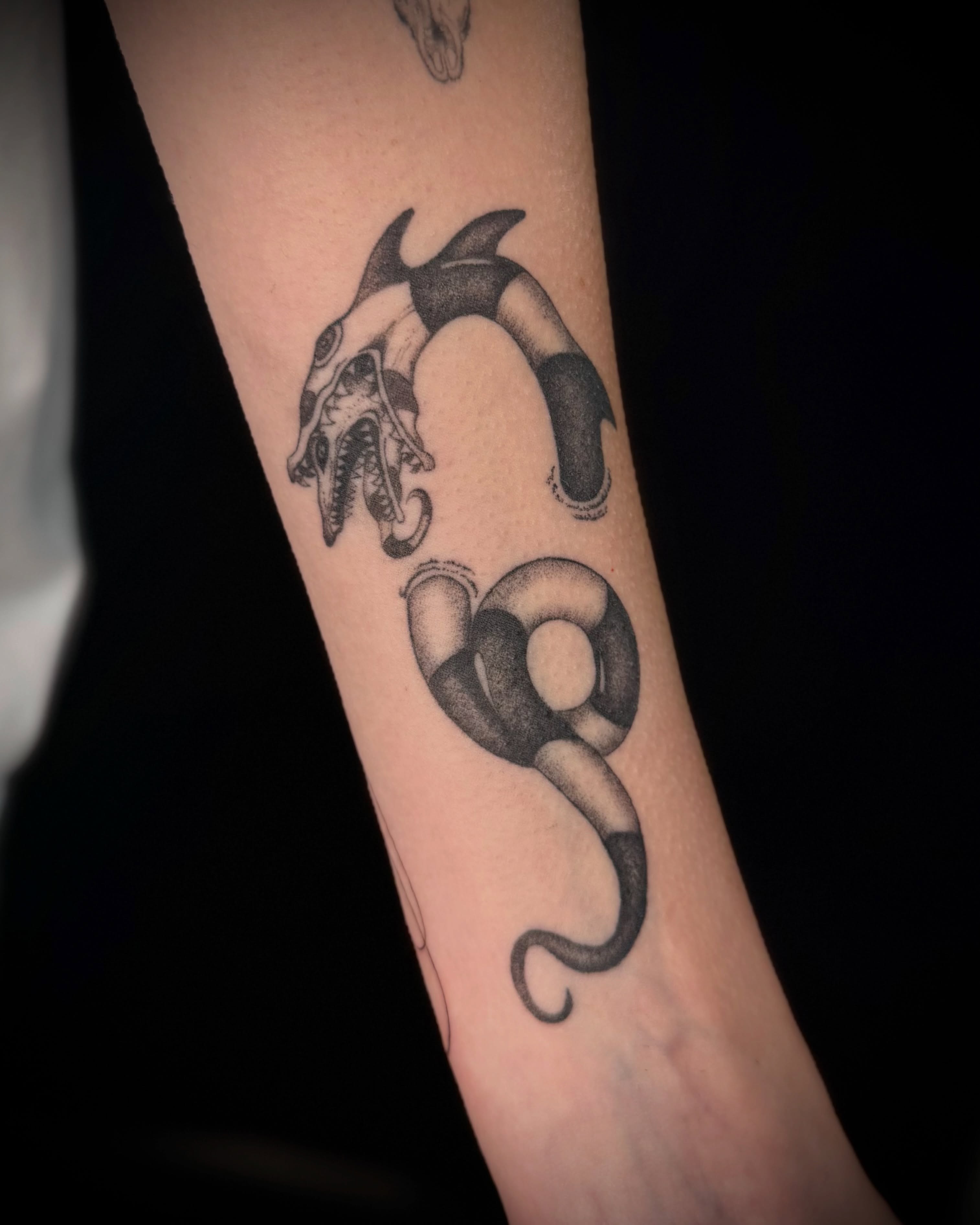 Snake black and grey tattoo on the forearm by alyssa ⋆₊ ♱