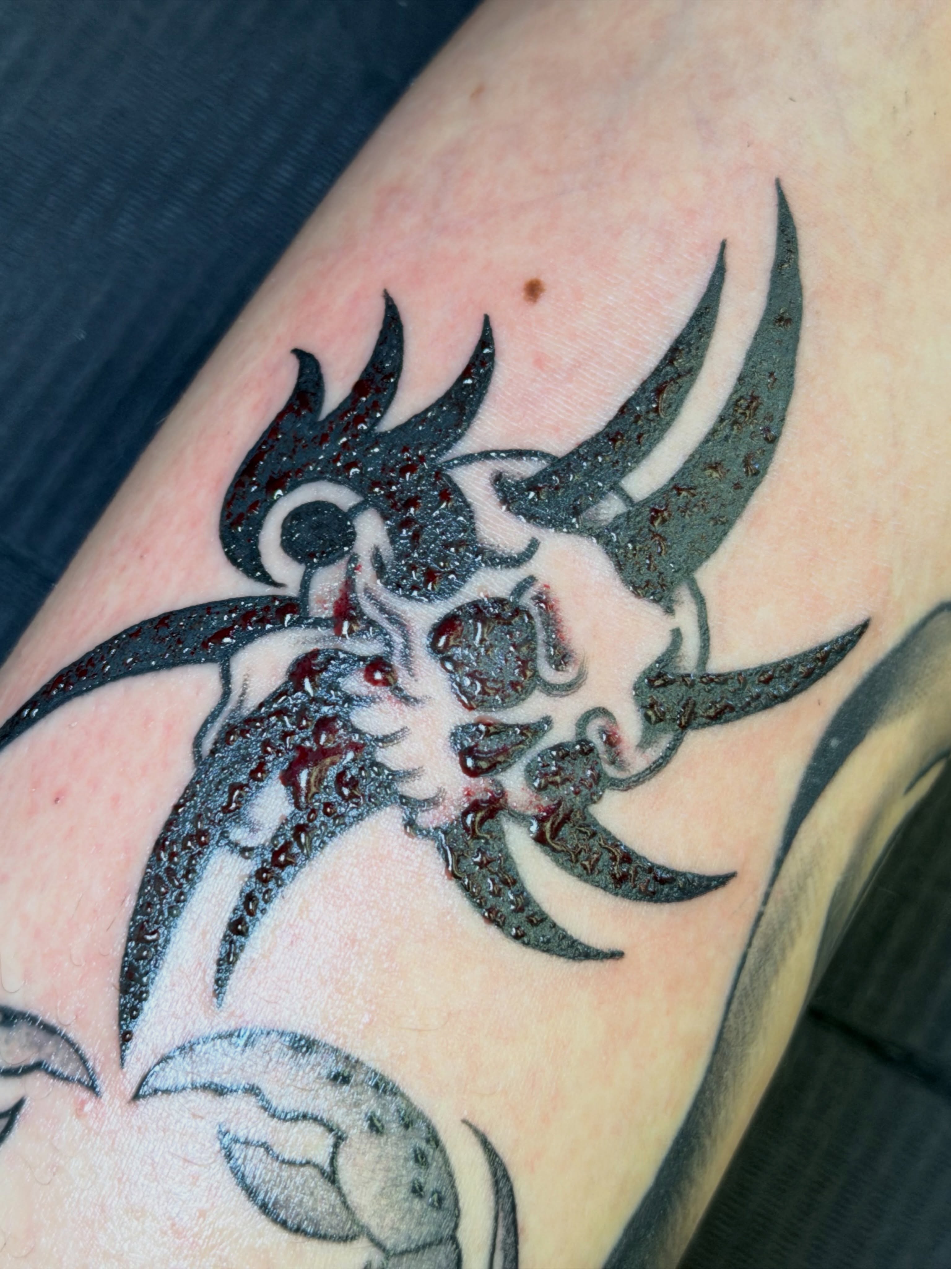 Octopus black and grey tattoo on the forearm by @ryanpereztattoo