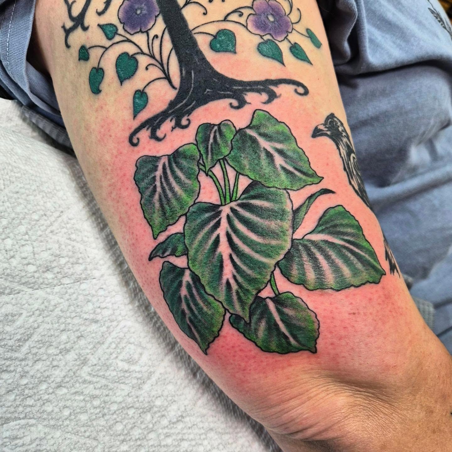 Plant and bird American traditional tattoo on the forearm by Taylor Popkins