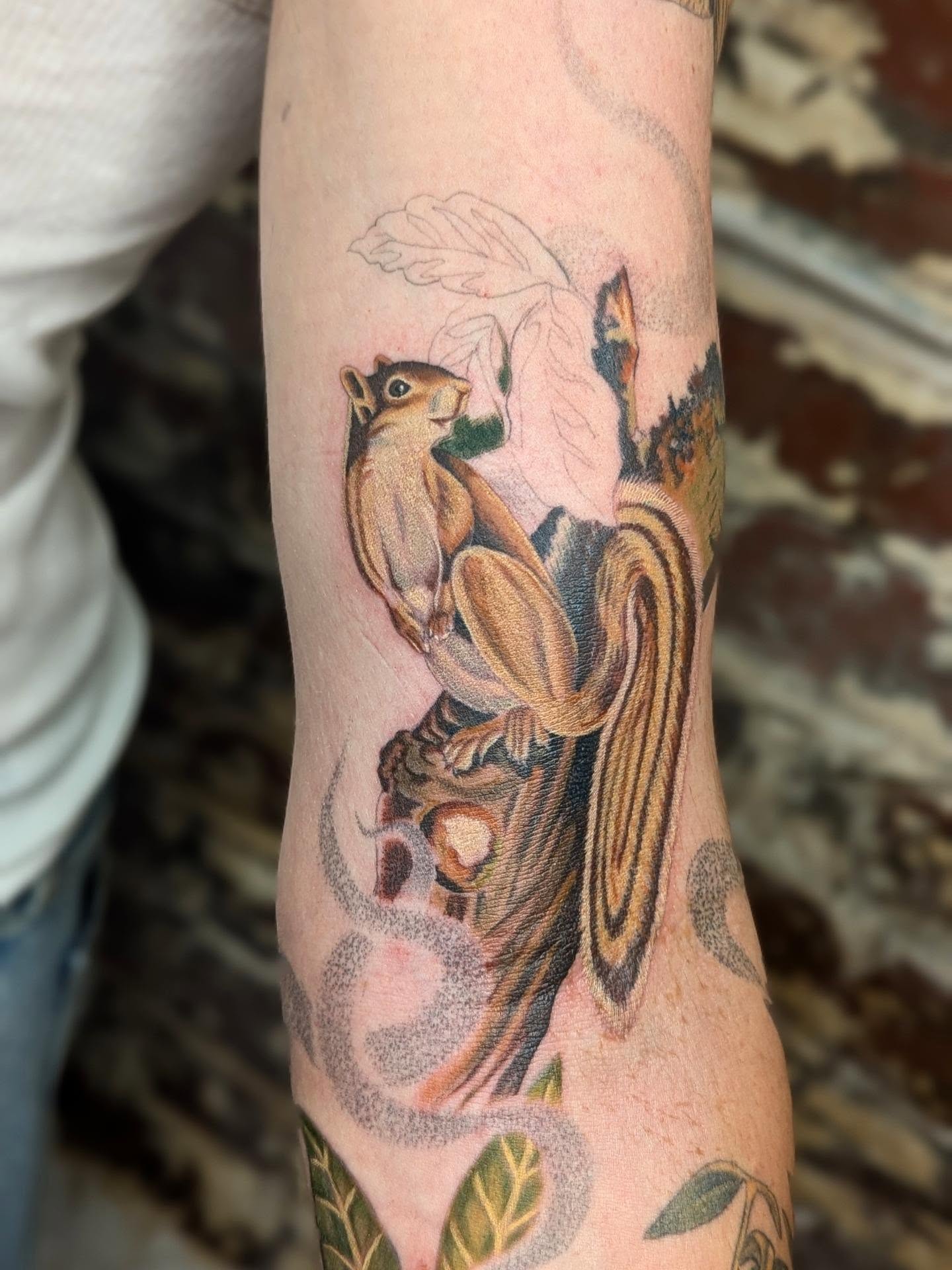 Chipmunk realism tattoo on the forearm by Eli Studer