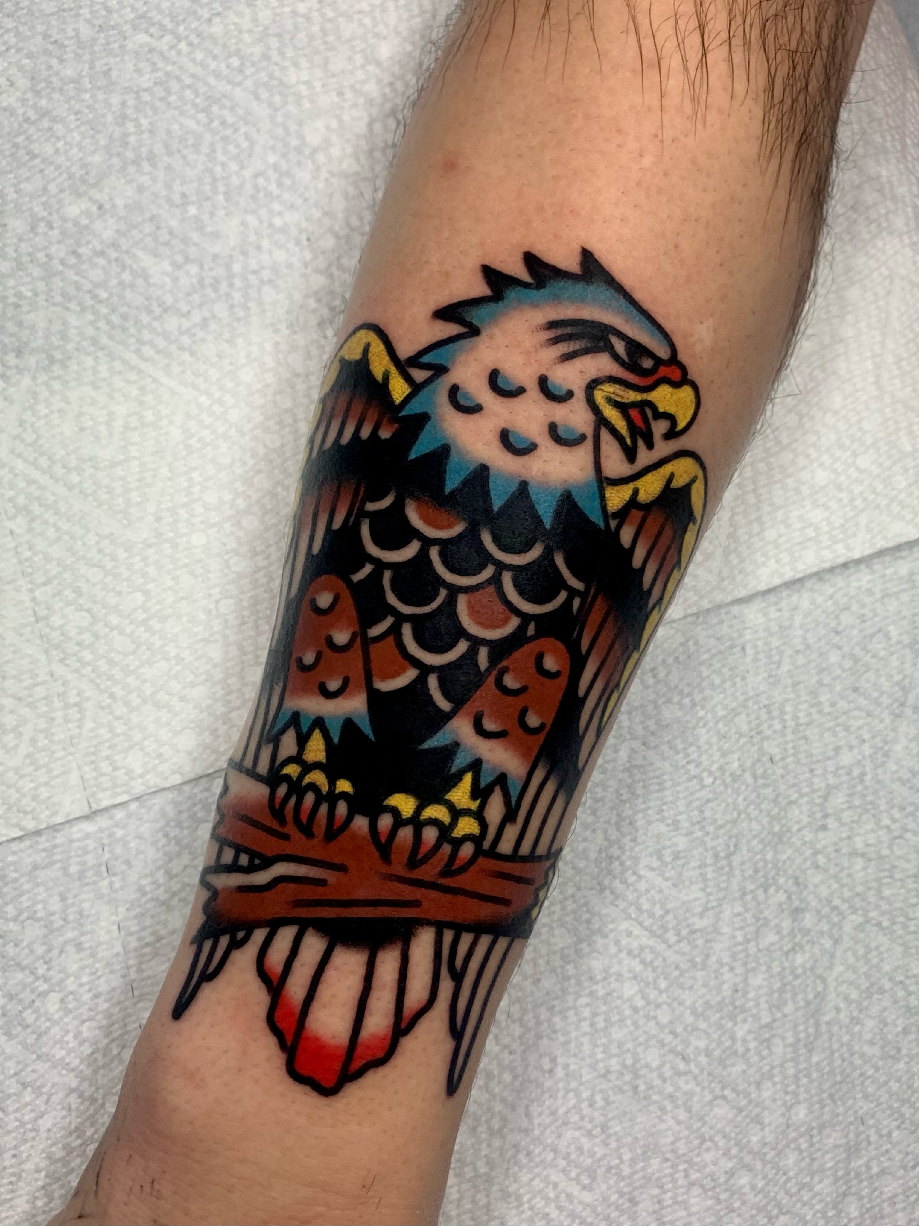 Eagle American traditional tattoo on the forearm by Shawn VanKirk