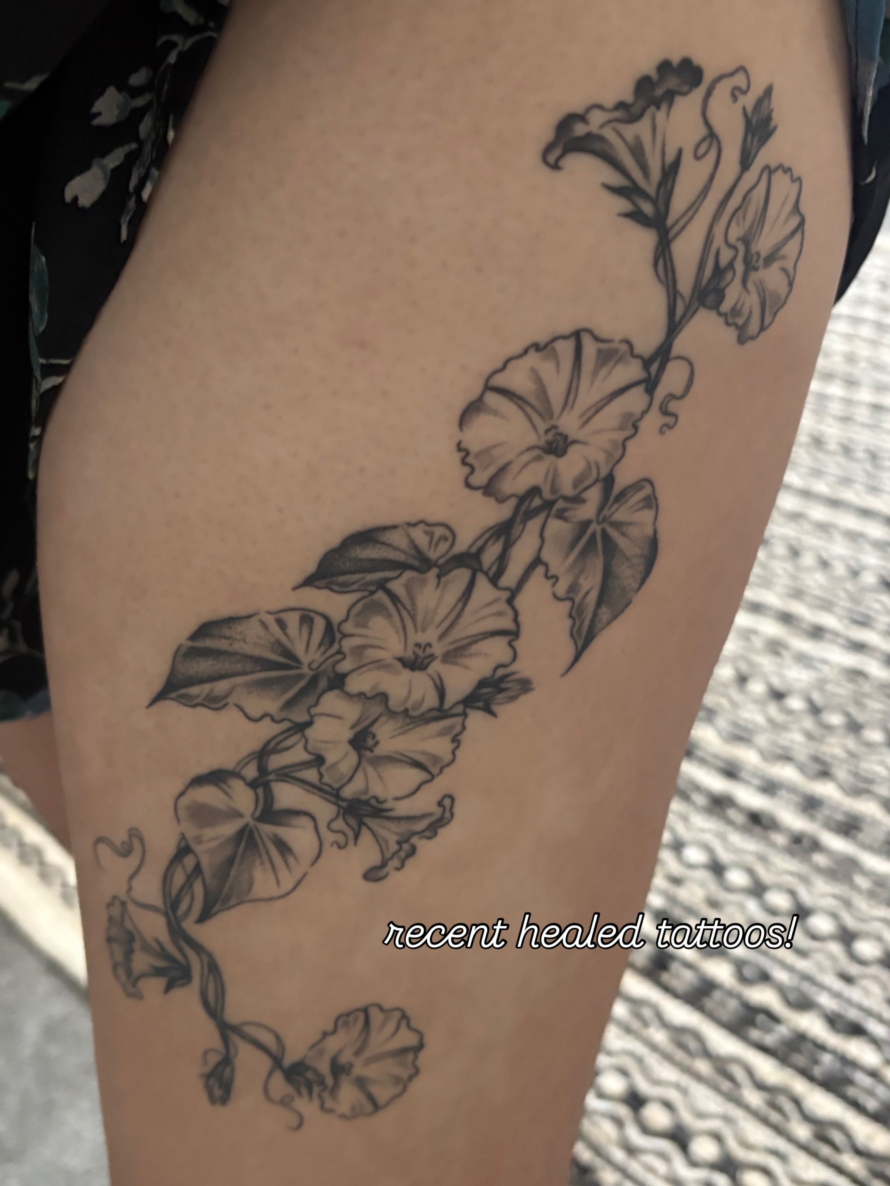 Morning glory flowers black and grey tattoo on the thigh by emery ♡ slc utah tattoo artist