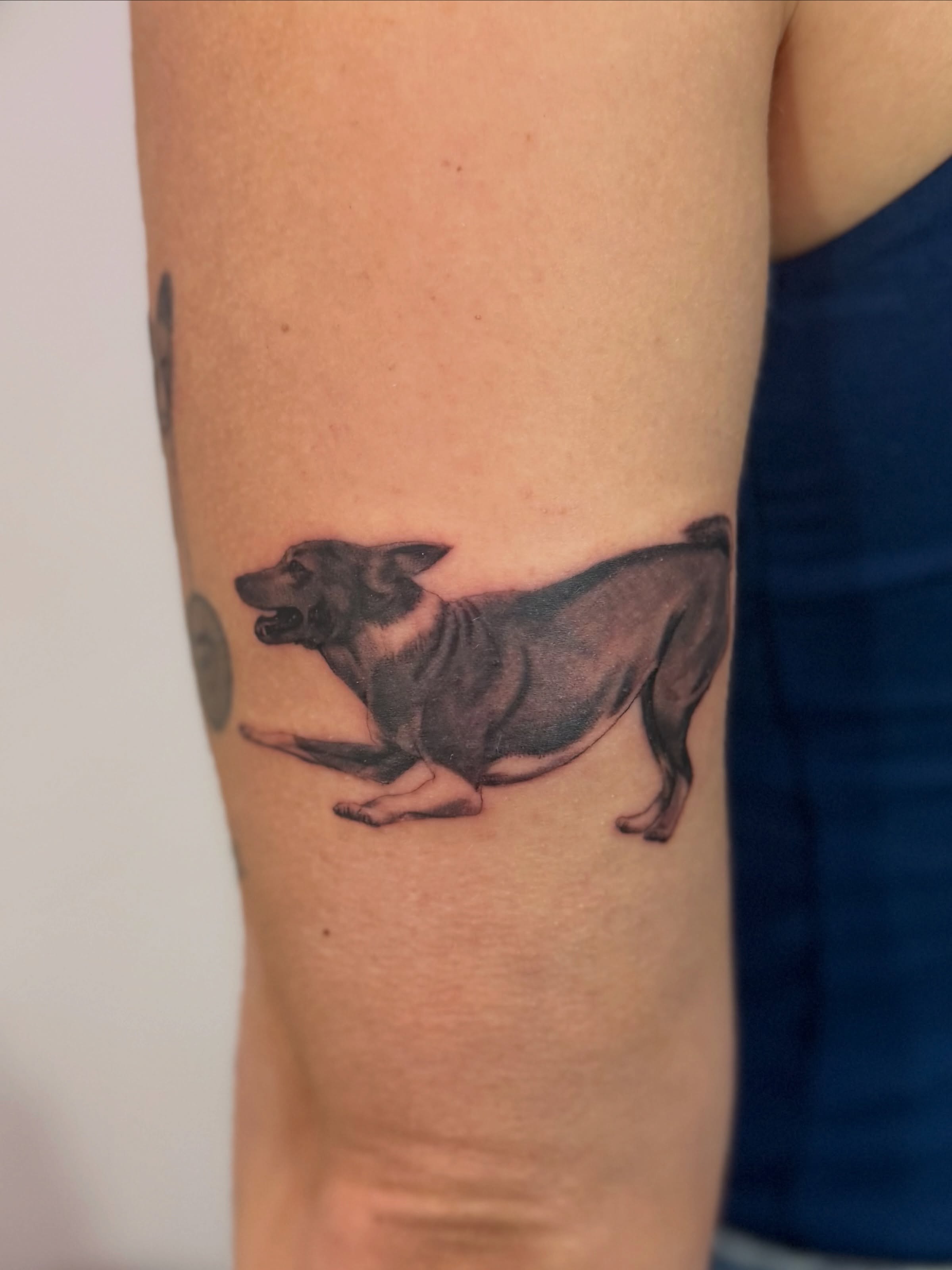 Dog realism tattoo on the forearm by Toni🌊