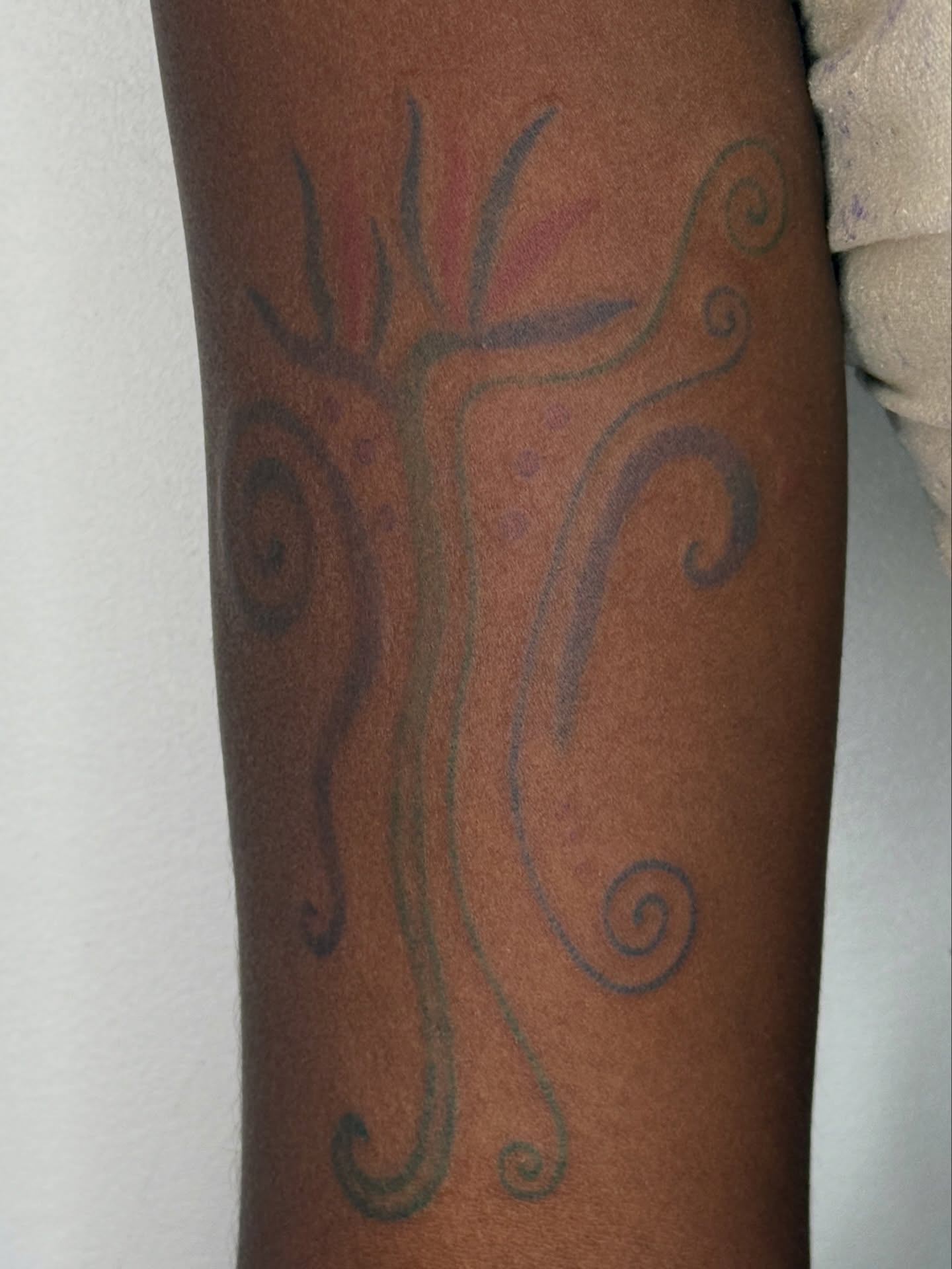 Tattoo by @alicexgreen — ornamental