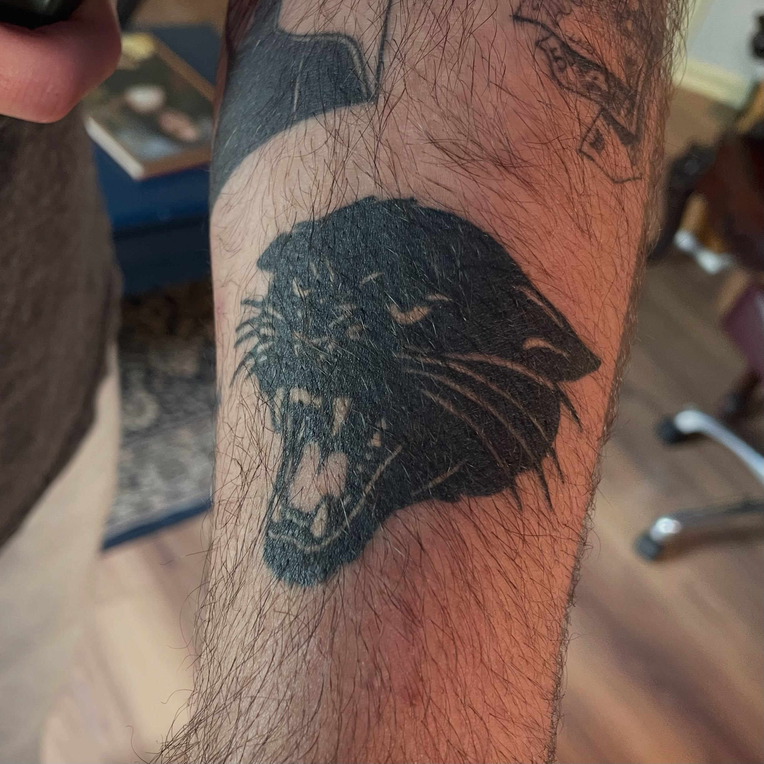 Panther black and grey tattoo on the forearm by Avalon Sable