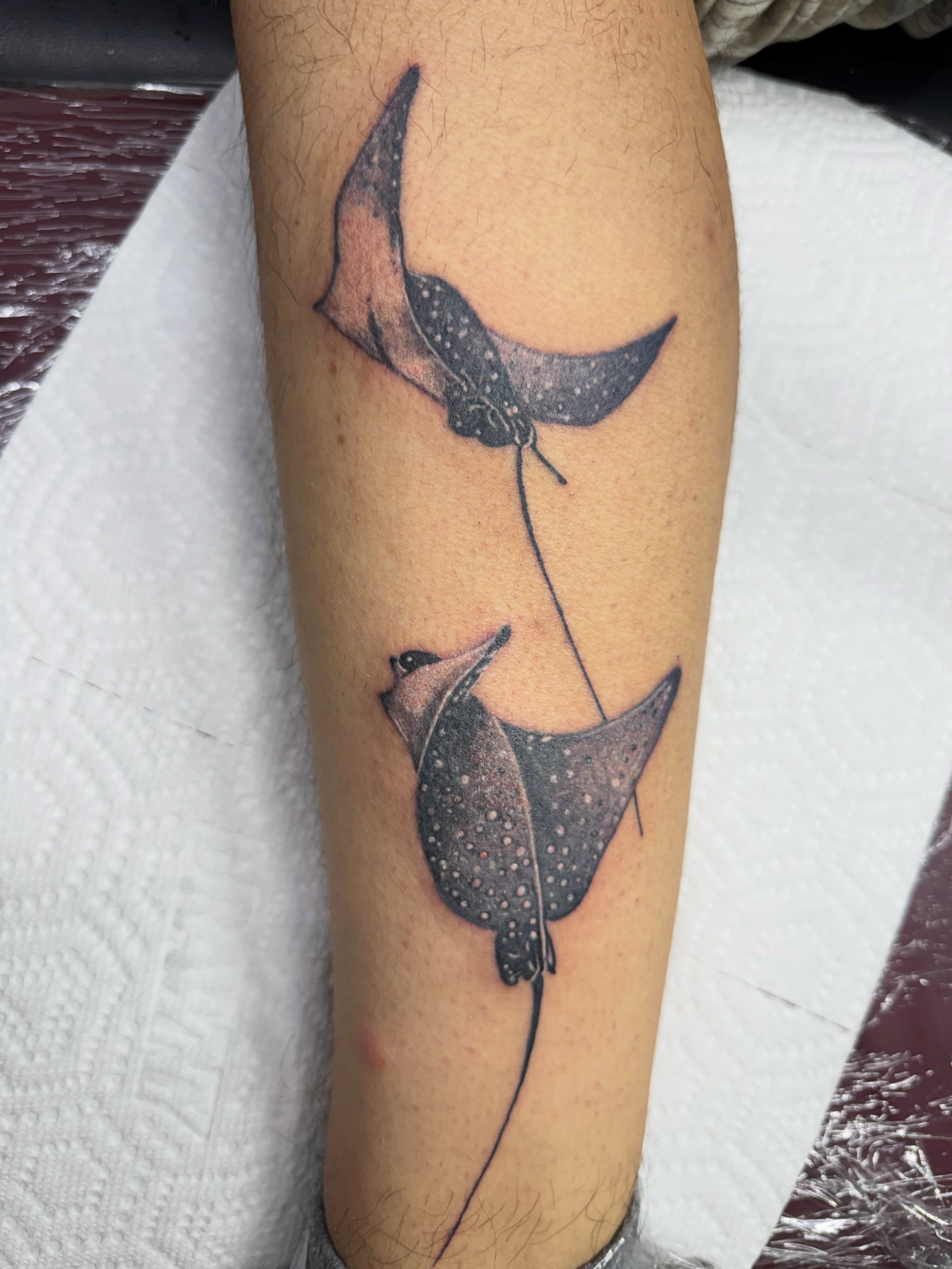 Tattoo by @sancheztapia81 — dotwork
