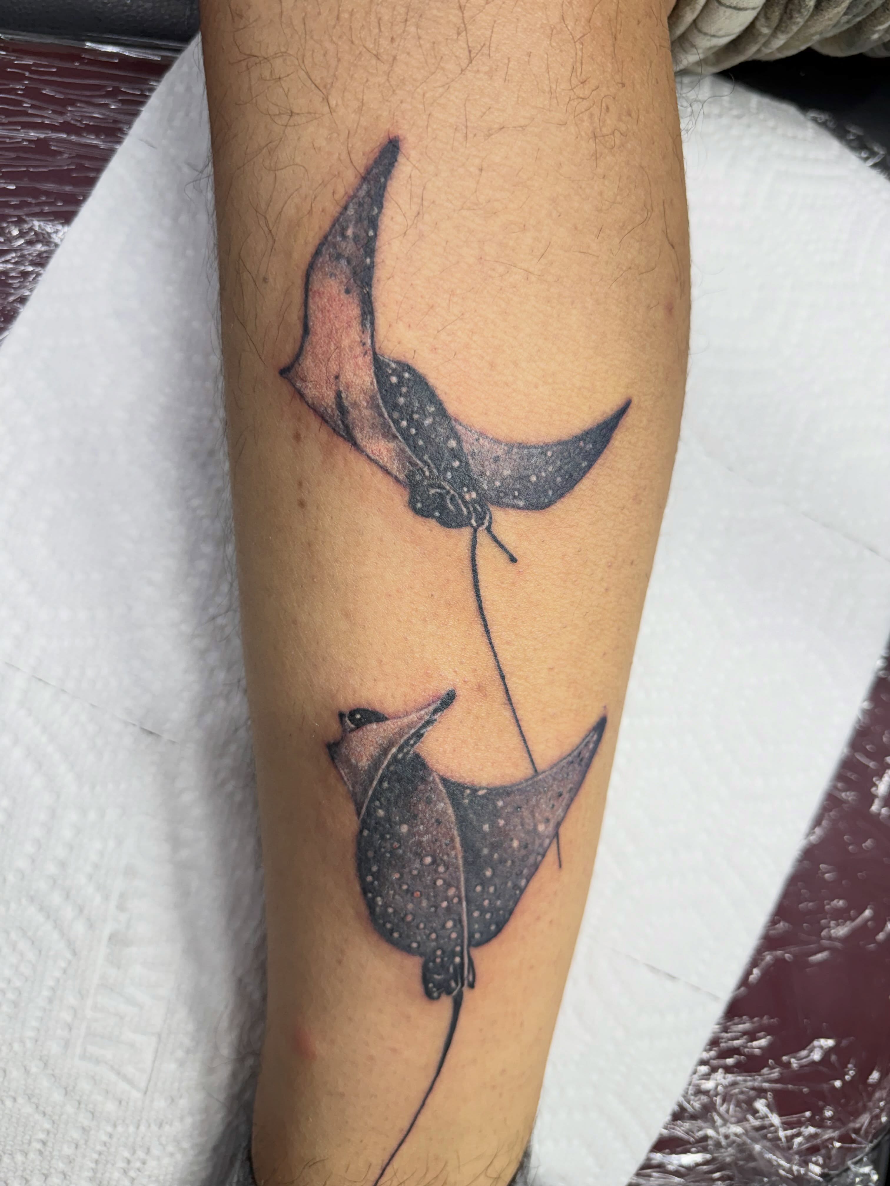 Tattoo by @sancheztapia81 — dotwork