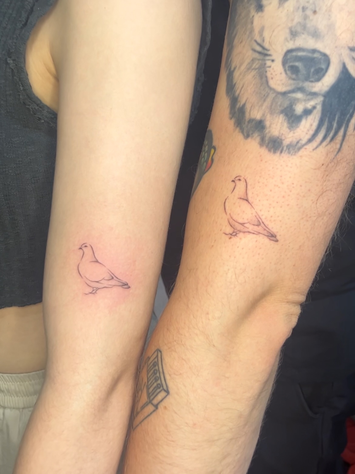 Bird black and grey tattoo on the forearm by mia