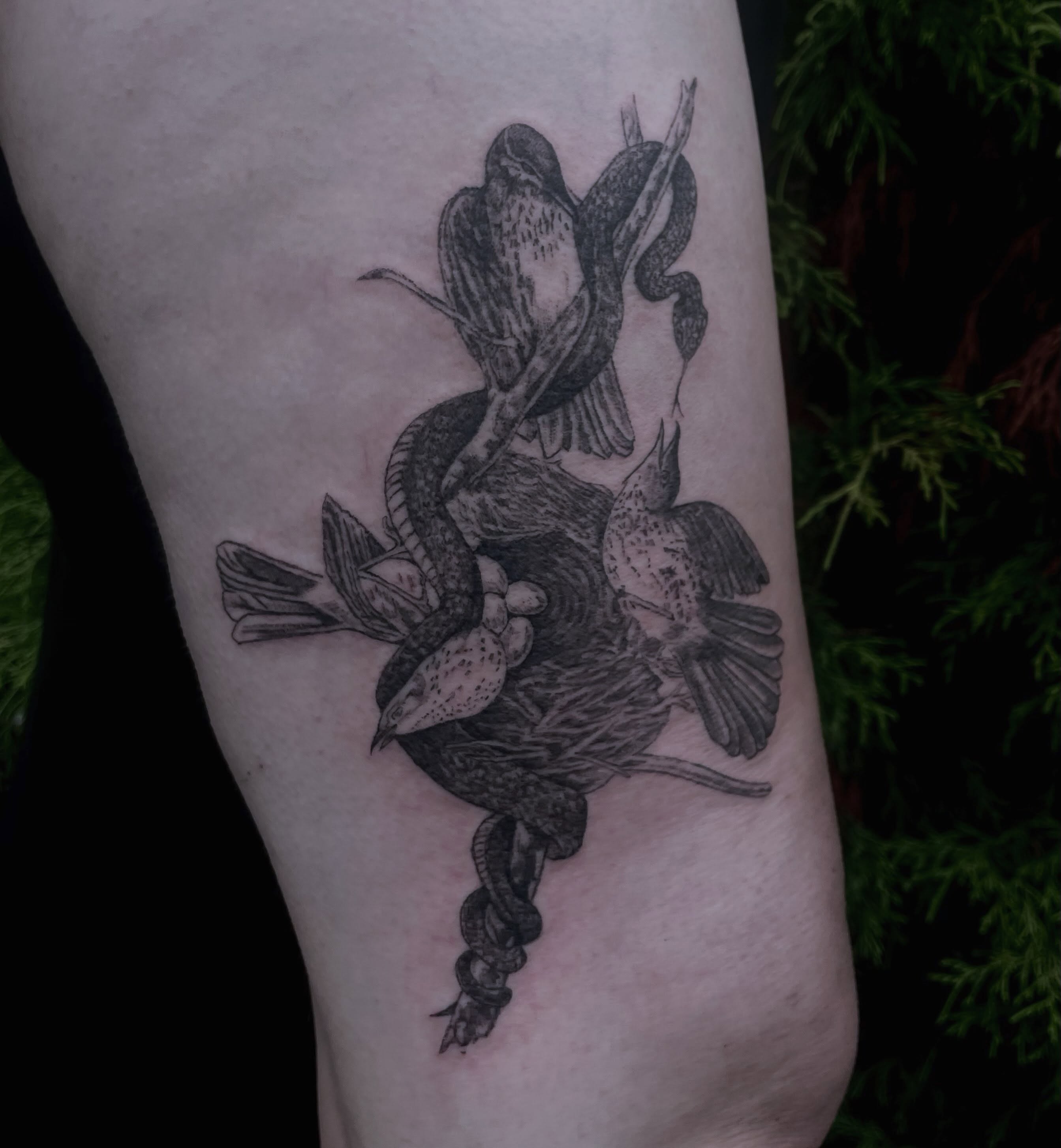 Tattoo by @sage.aries.ink — black_and_grey, realism
