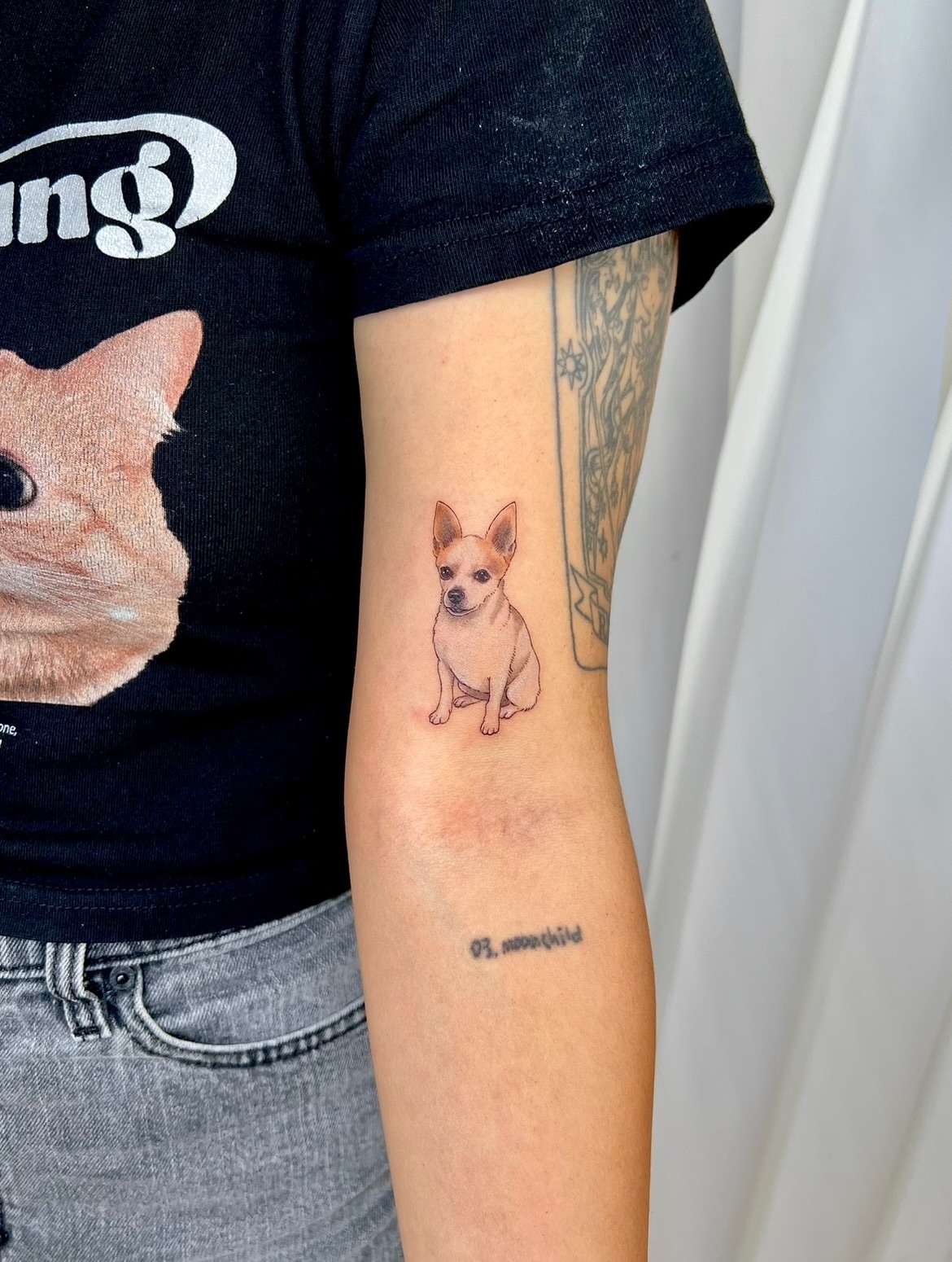 Chihuahua realism tattoo on the forearm by Soy 🫛