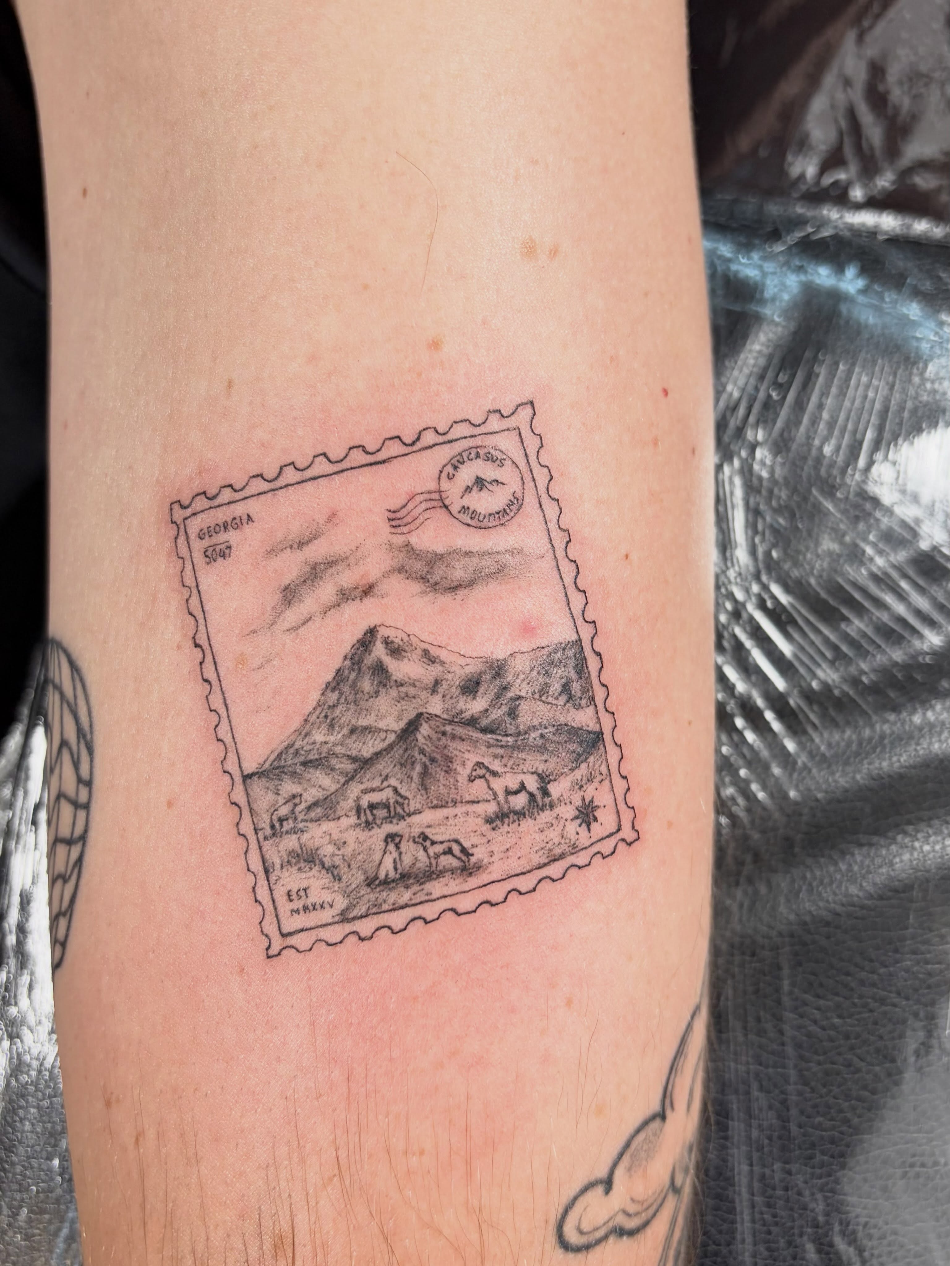 Mountain landscape realism tattoo on the forearm by Asap tattoo