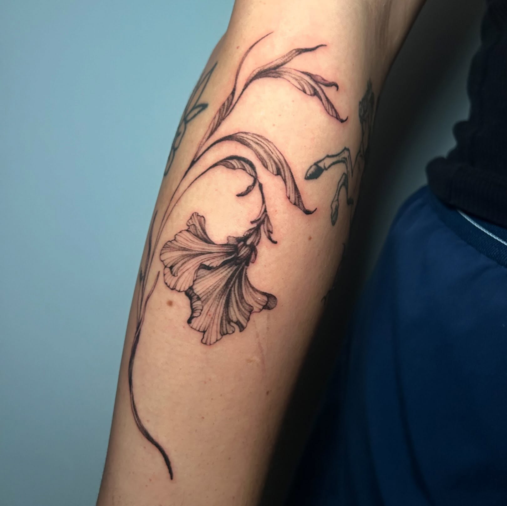 Tattoo by @socratiicrrat — black_and_grey
