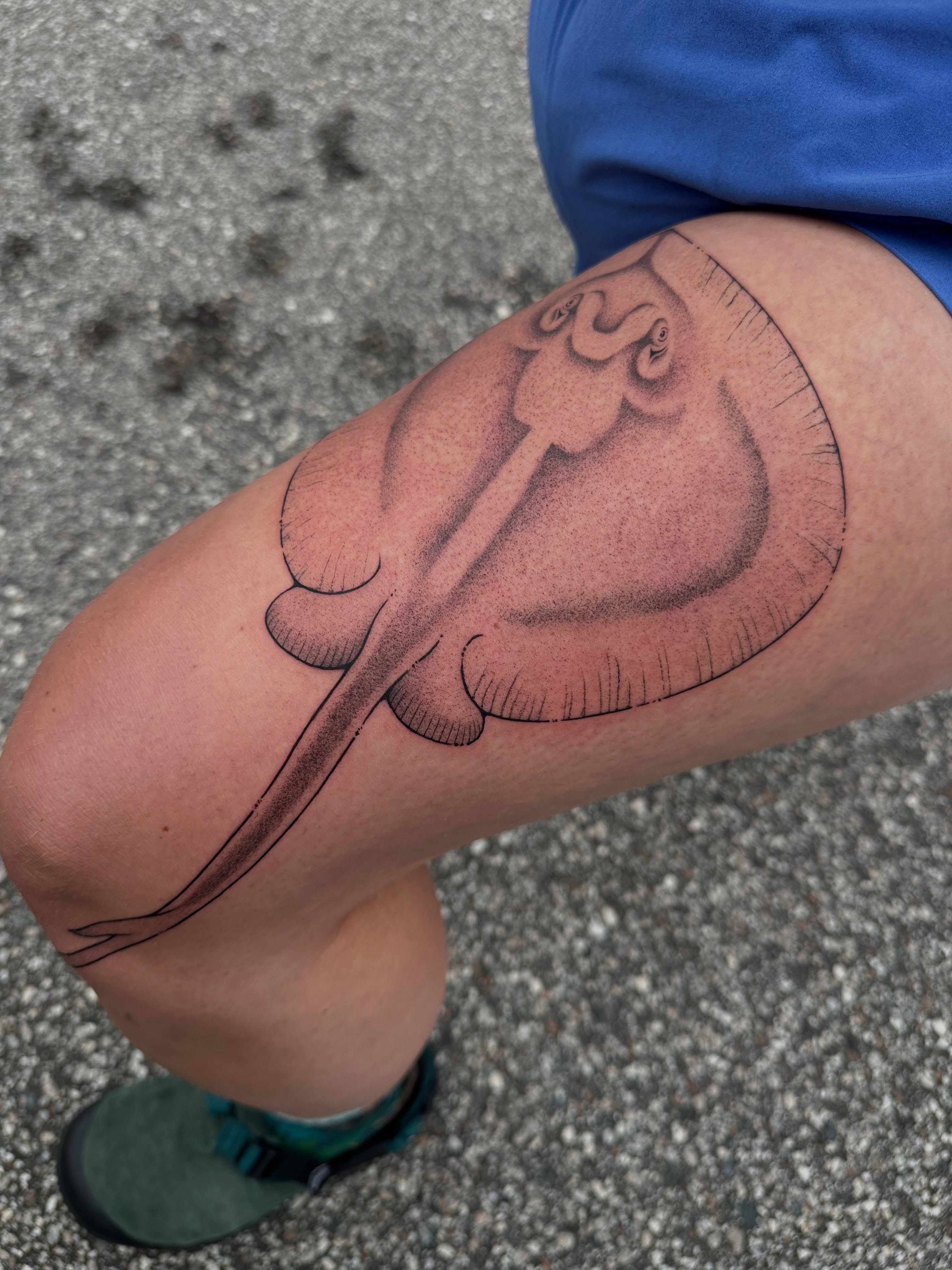 Tattoo by @guayabaiqueso — realism
