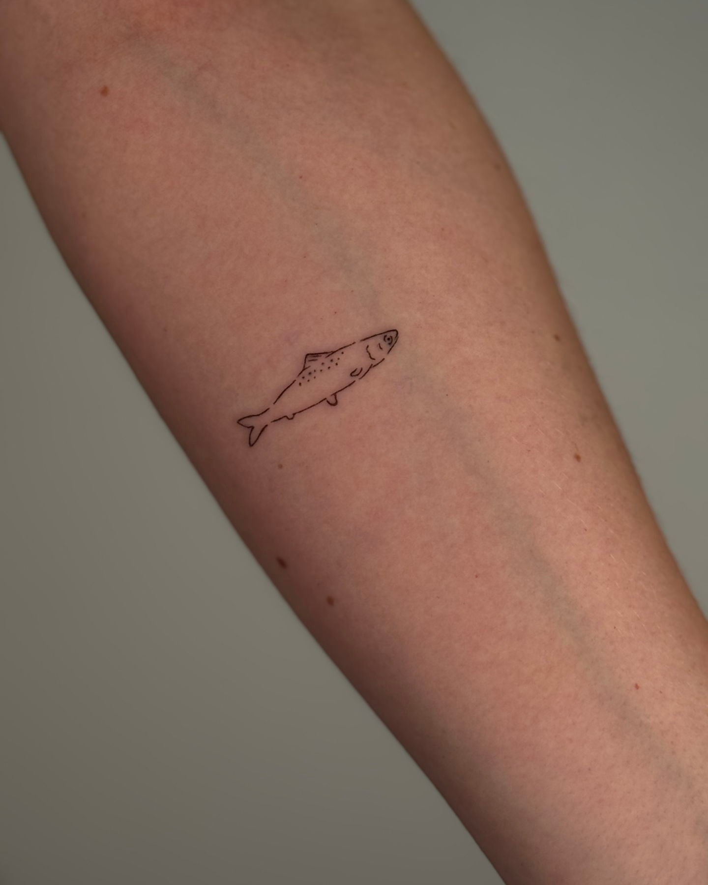 Fish minimalist tattoo on the forearm by Jules Ink ⋆ Fineline Tattoo