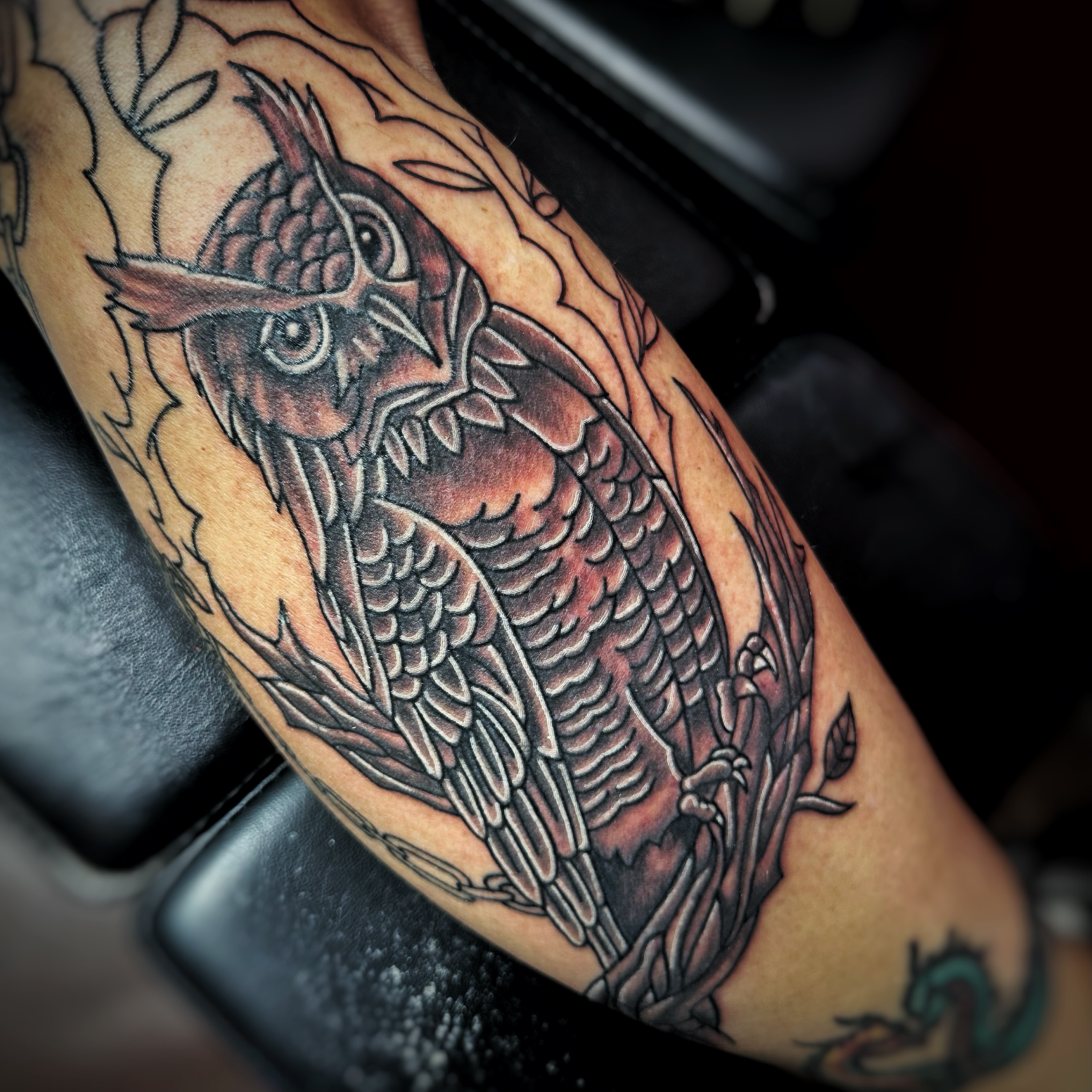 Woodpecker American traditional tattoo on the forearm by Anthony Guido