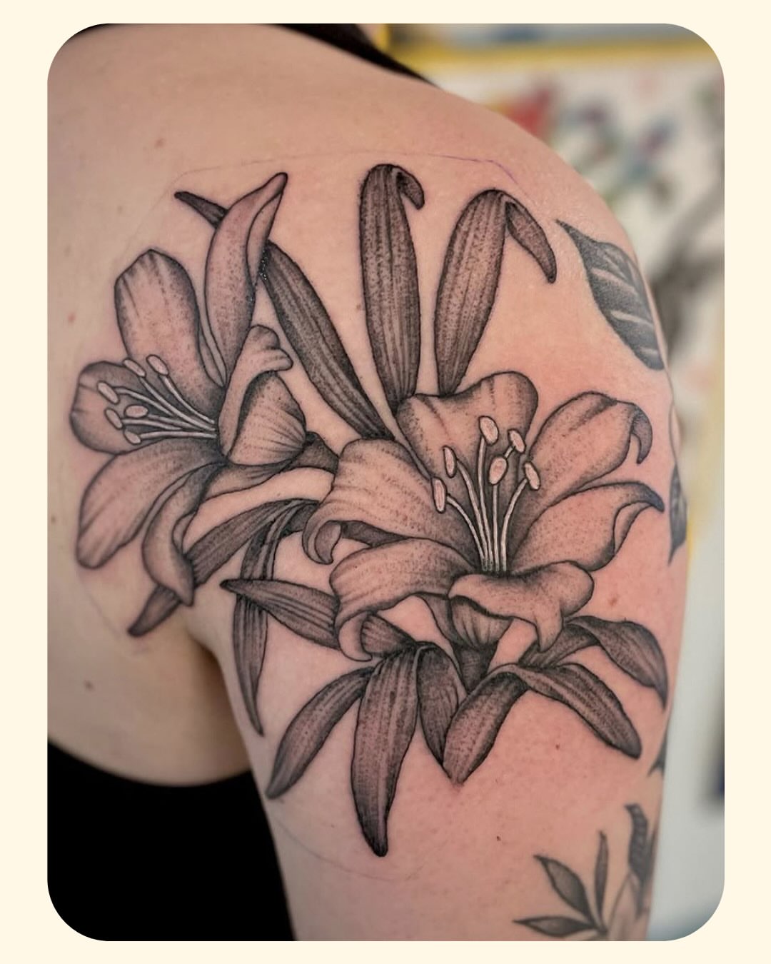 Lilies black and grey tattoo on the shoulder by 𝐒𝐚𝐦𝐬𝐨𝐧𝐋𝐚𝐳𝐚𝐫𝐭𝐞