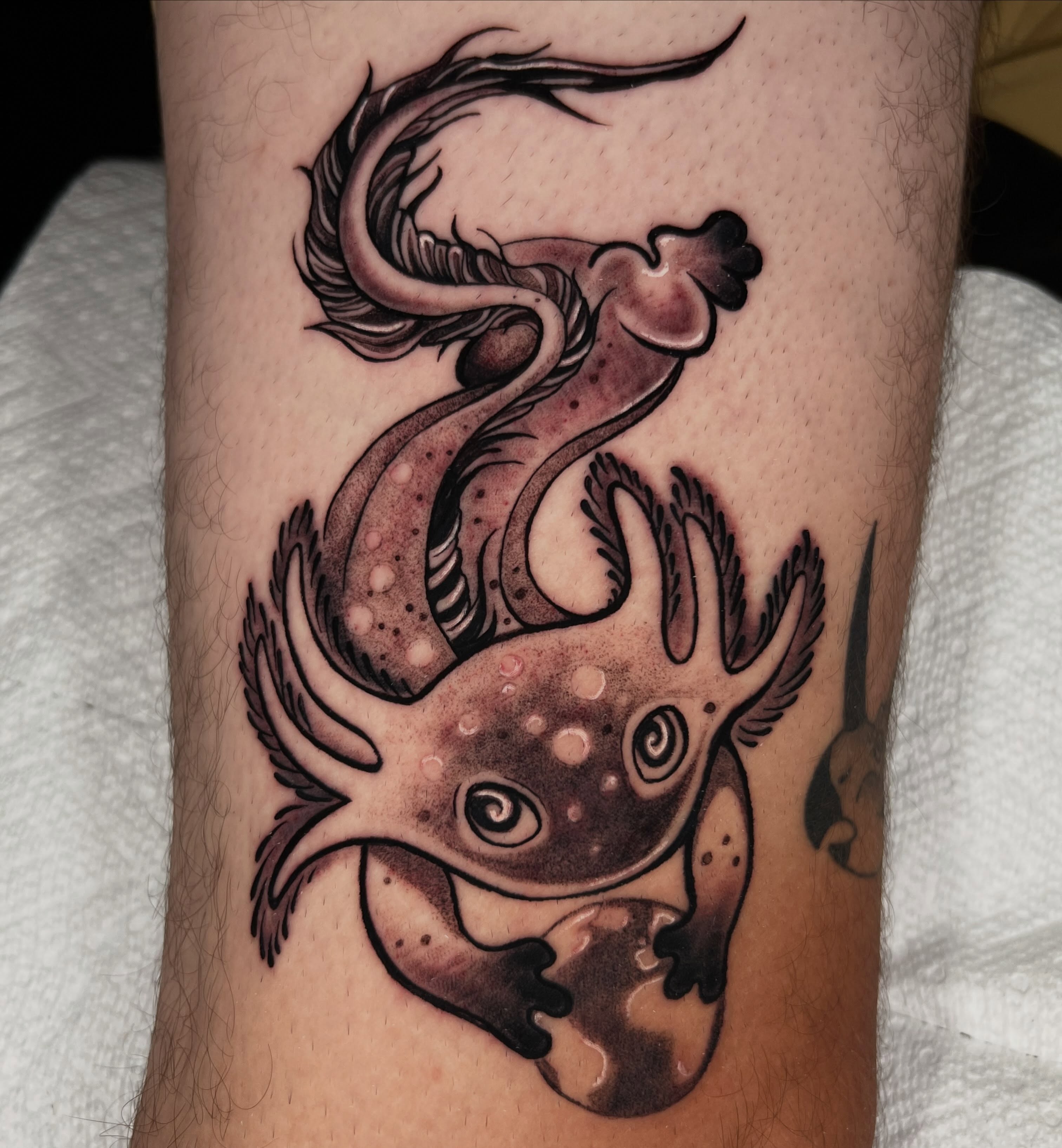 Axolotl dotwork tattoo on the forearm by ✧ :: paloma :: ✧