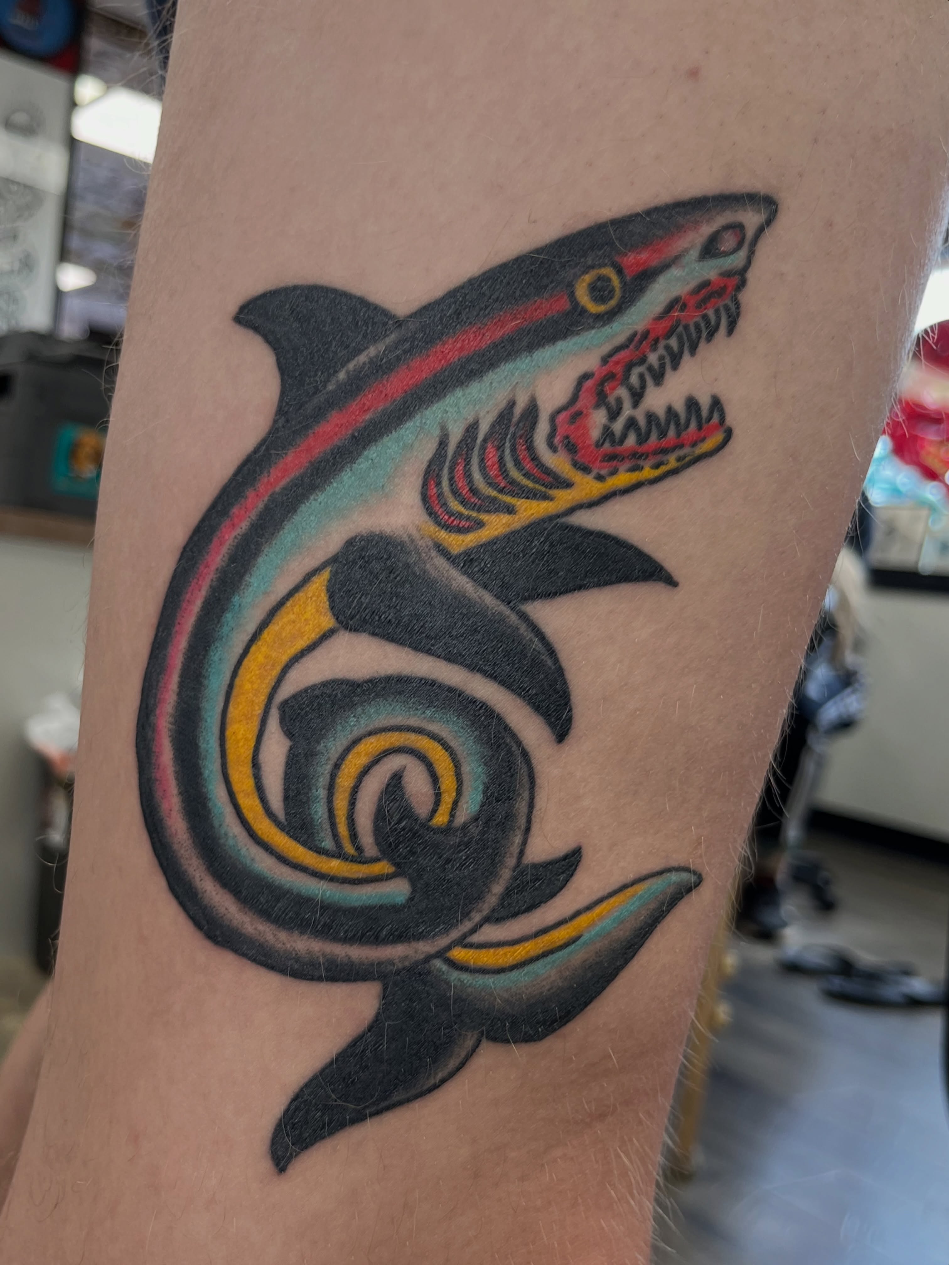Shark American traditional tattoo on the forearm by Steve Tiberi