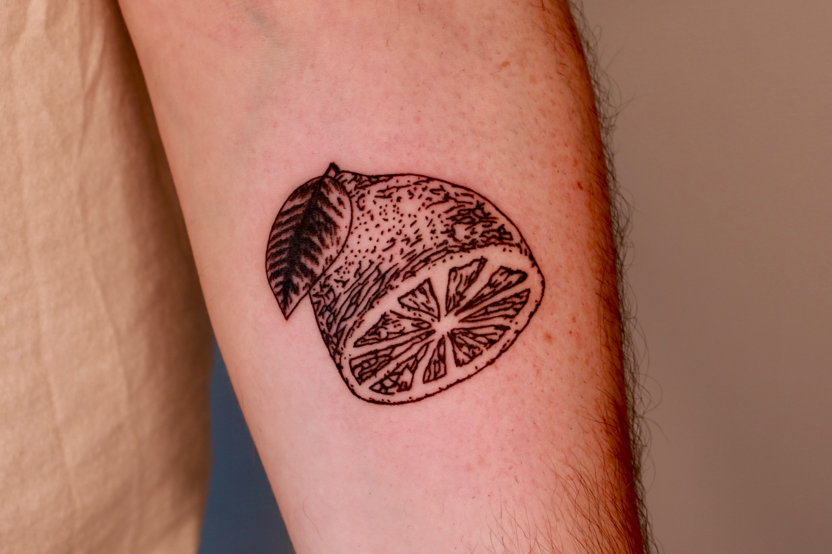 Lemon slice dotwork tattoo on the forearm by Mike