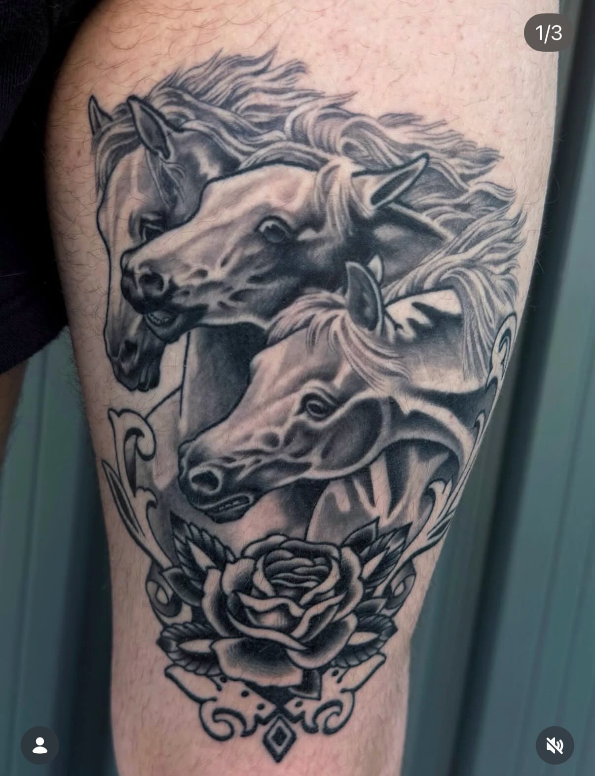 Tattoo by @mollygotlib — black_and_grey, realism