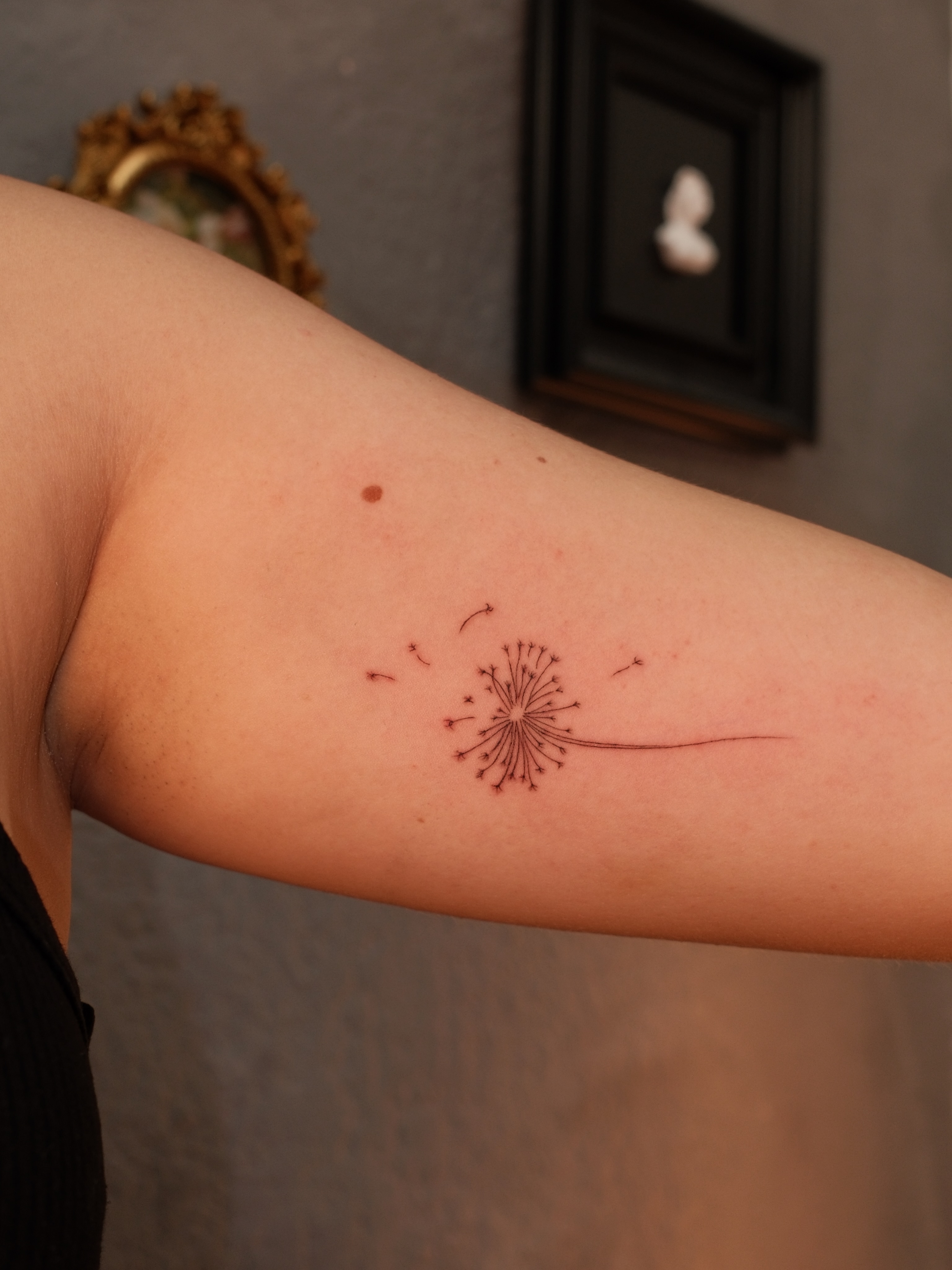 Dandelion seed dotwork tattoo on the forearm by Luisa Duarte