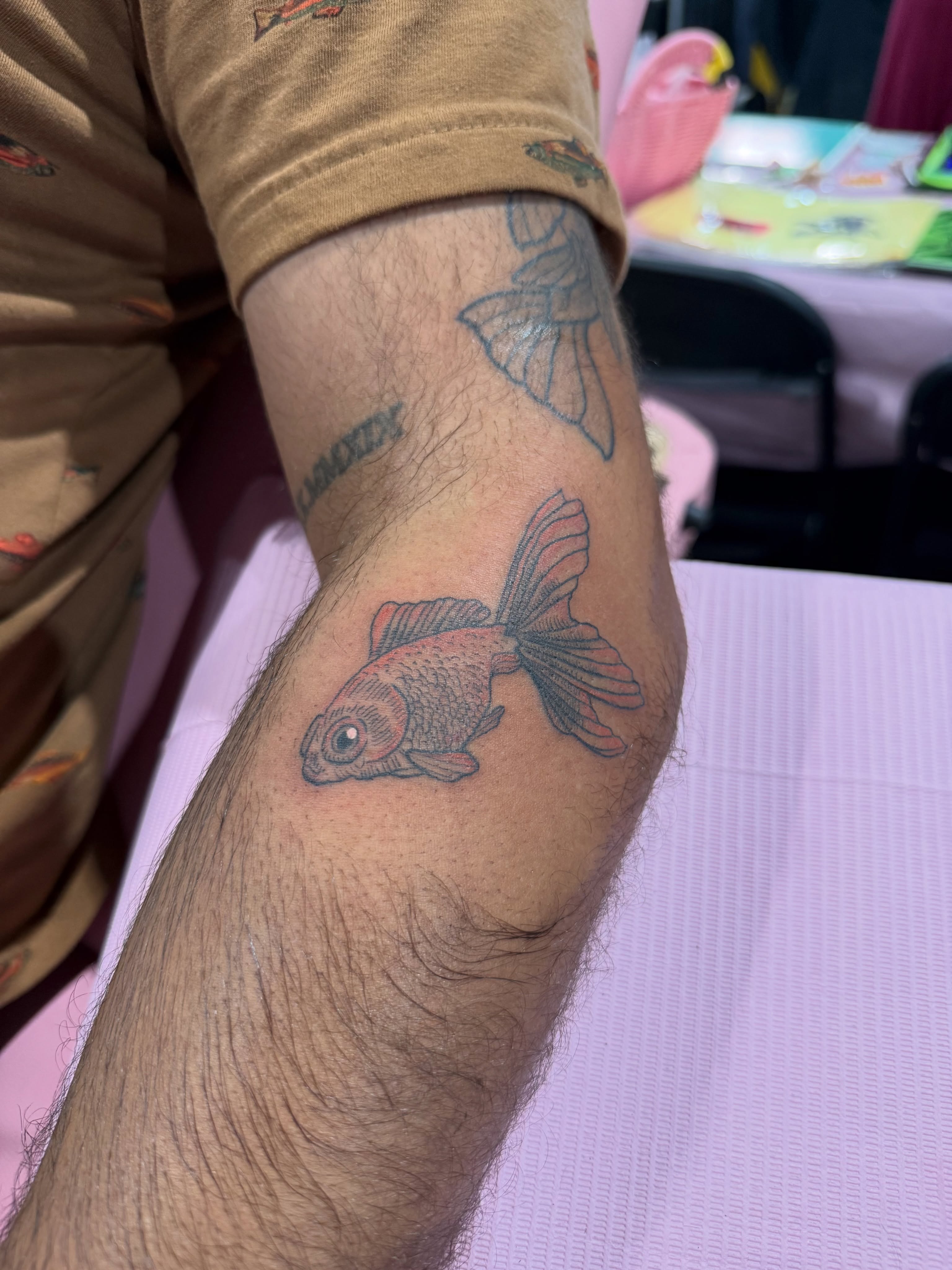 Goldfish realism tattoo on the forearm by Kelsey Lynn▪️Raleigh Tattoo Artist