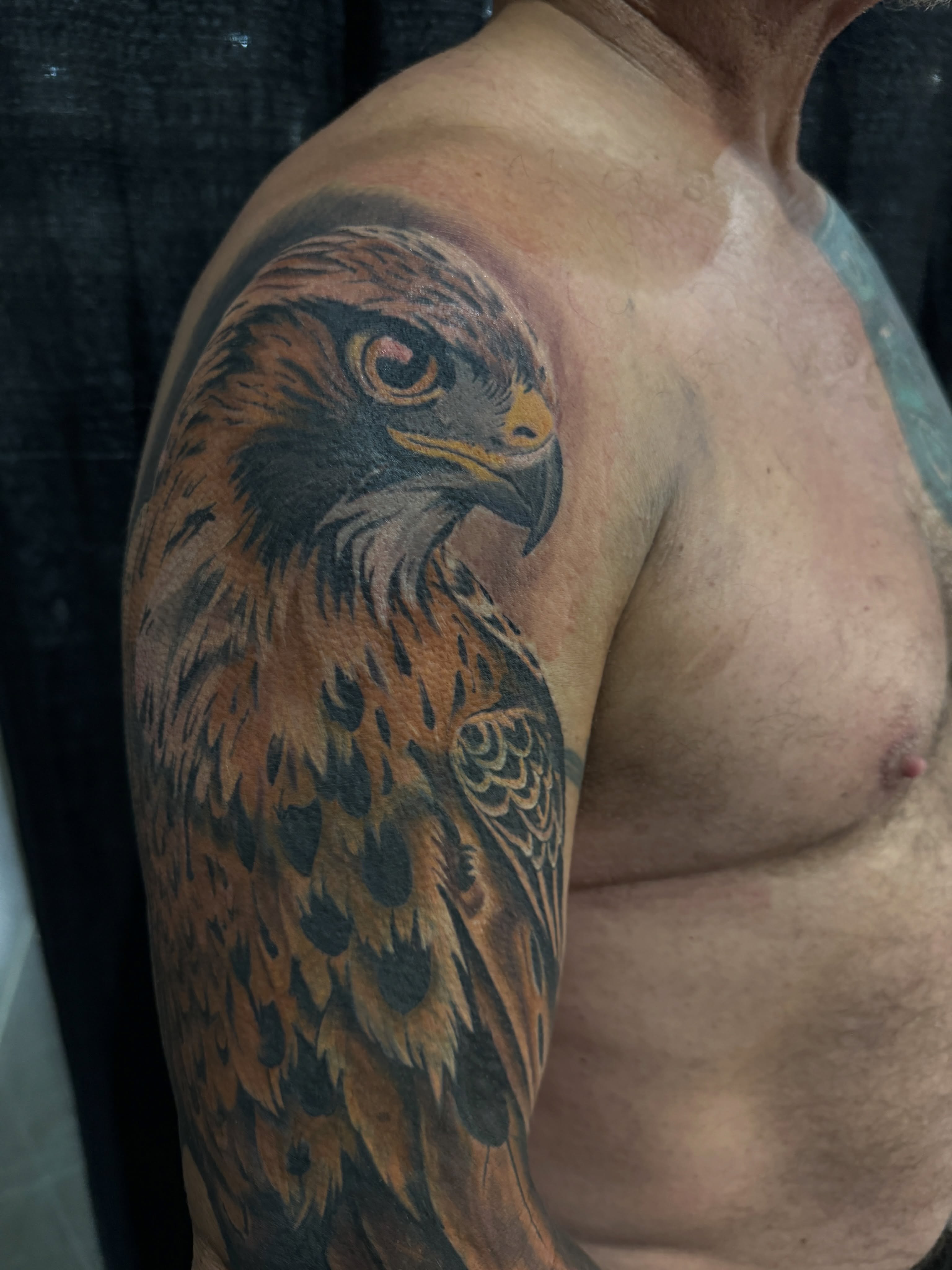 Hawk realism tattoo on the shoulder by Paul Jack II ⚜️ Tattoo Artist ⚜️Atlanta