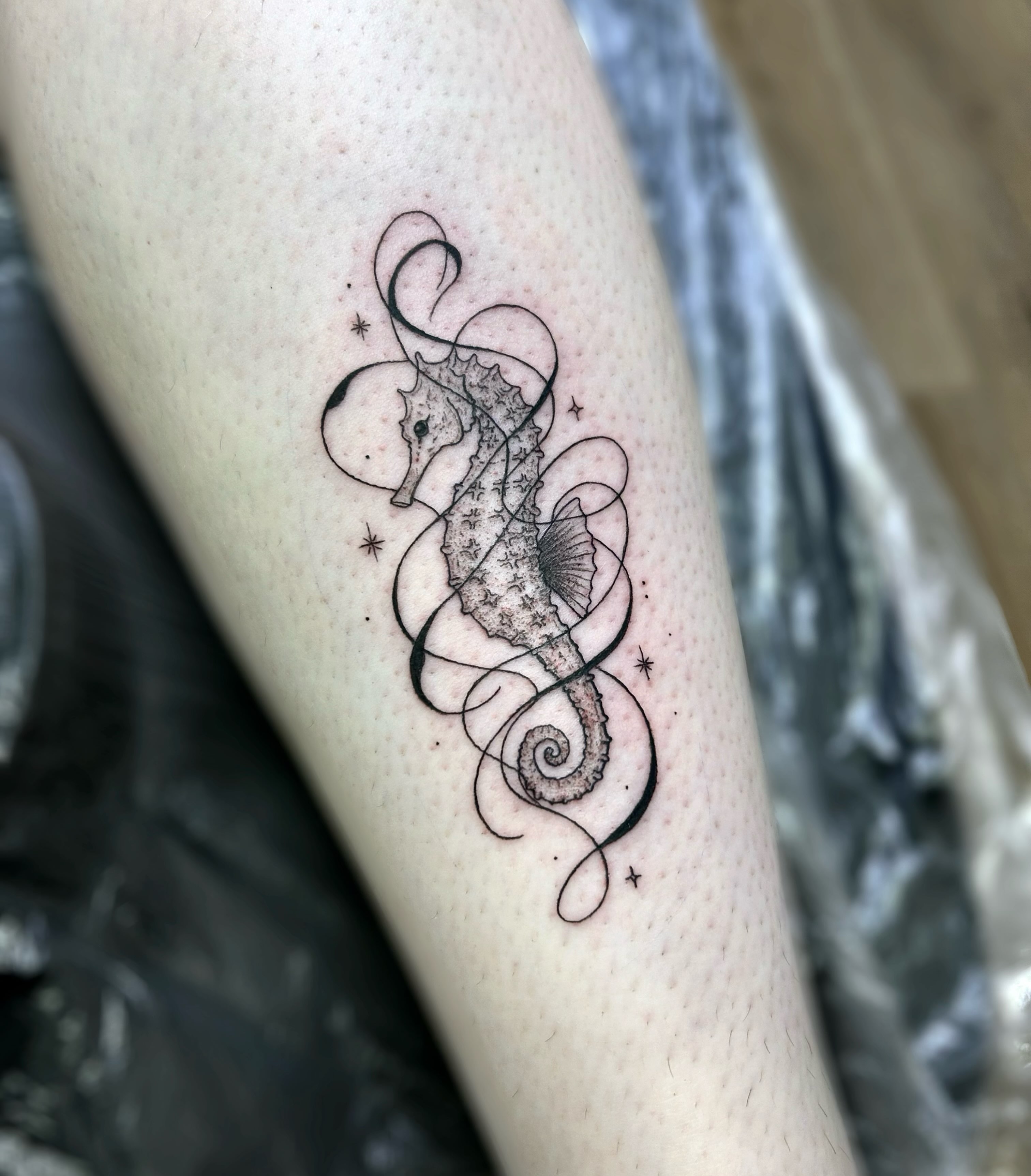 Seahorse black and grey tattoo on the forearm by 𝒜𝓇𝓉𝒾𝓈𝓉 𝒟𝒶𝒾𝓈𝓎 ♡
