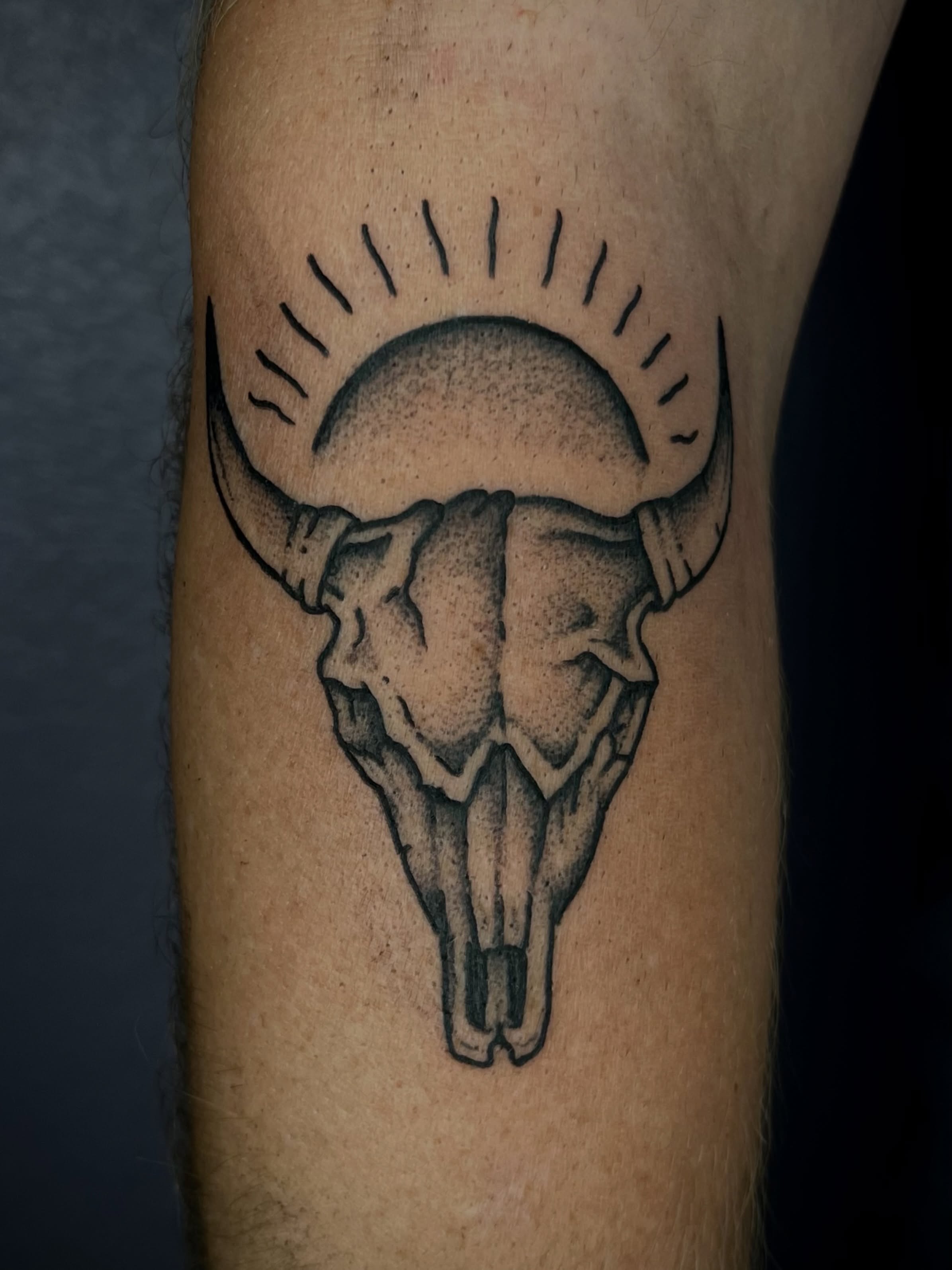 Bull skull black and grey tattoo on the forearm by Patrick Elijah