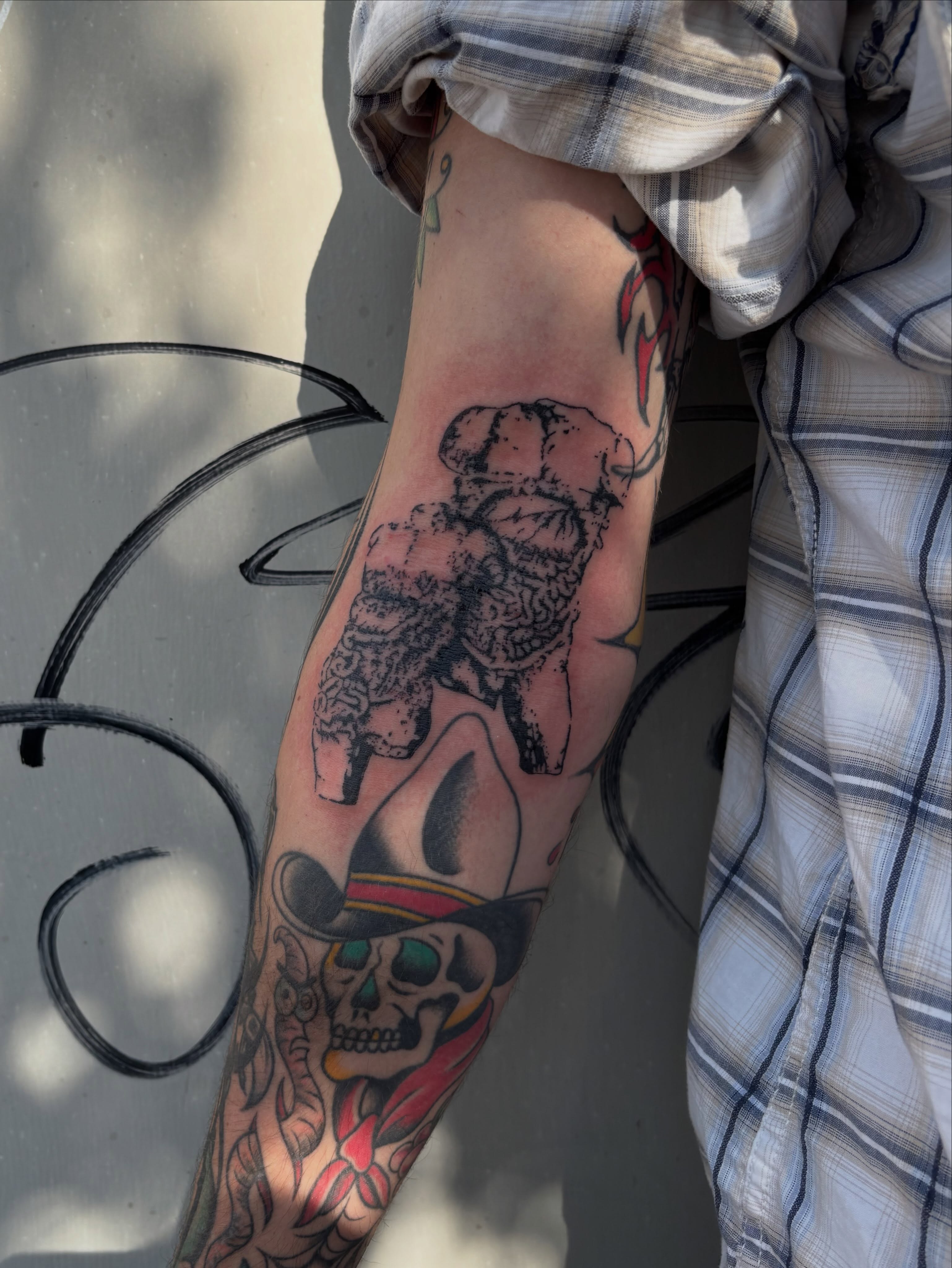 Skull and sheep American traditional tattoo on the forearm by Turner