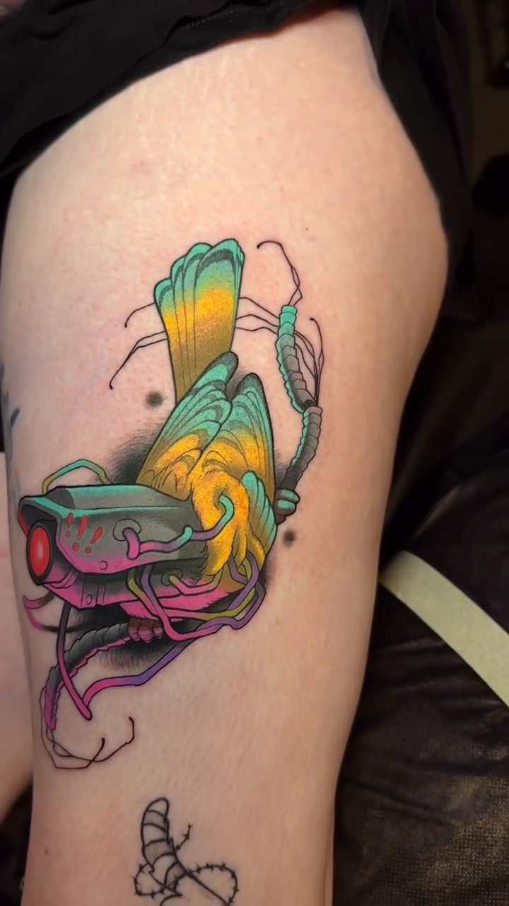 Stylized bird neo-traditional tattoo by Skylar Mangrum