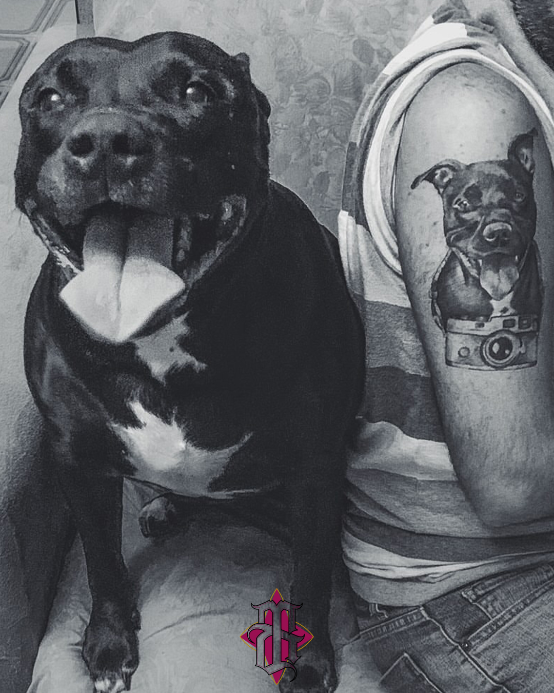 Dog realism tattoo on the forearm by BRIK RANGEL - Tattoo Artist