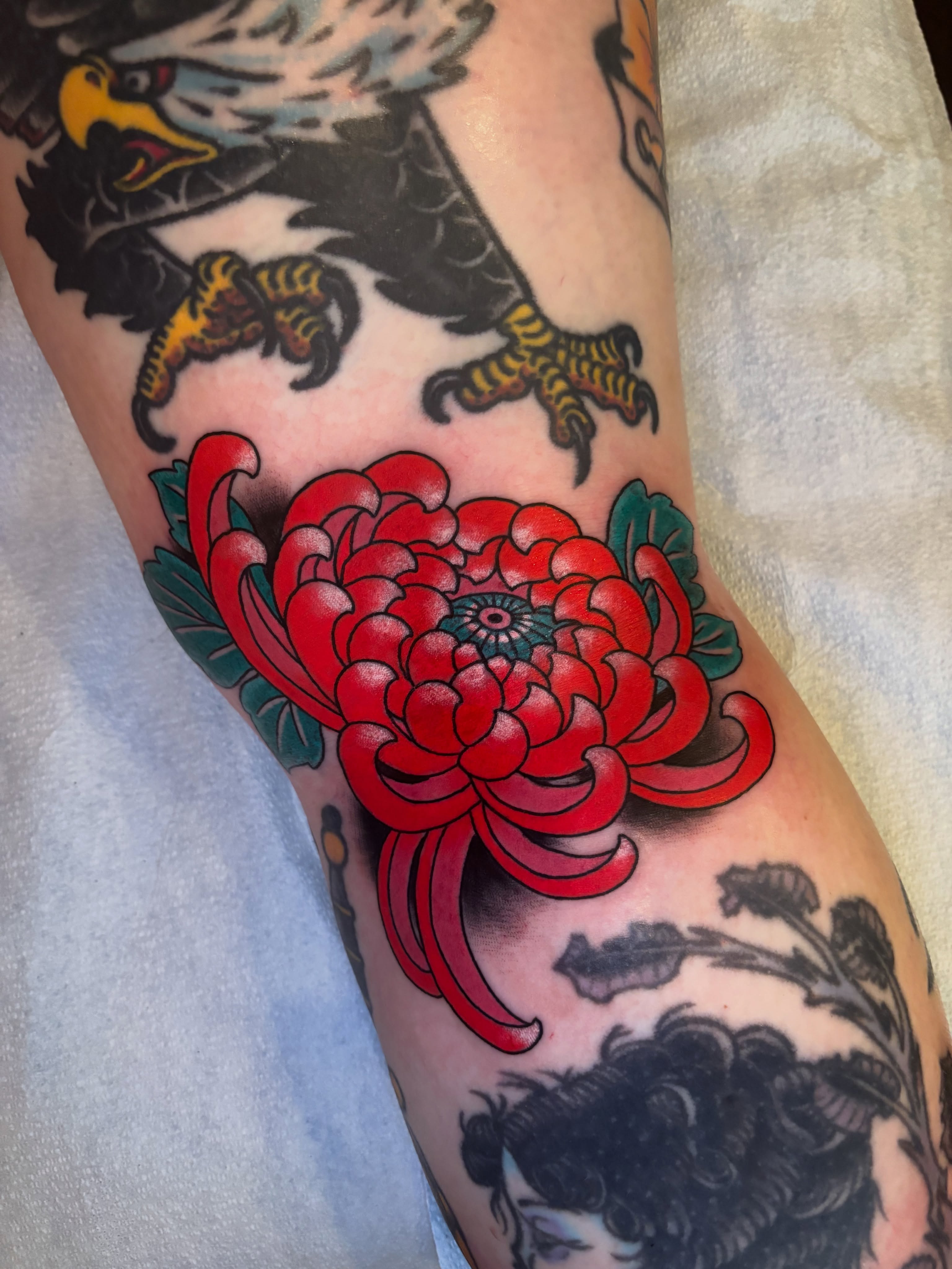 Chrysanthemum American traditional tattoo on the forearm by Mike Maciejewski:Chicago Tattoo Artist