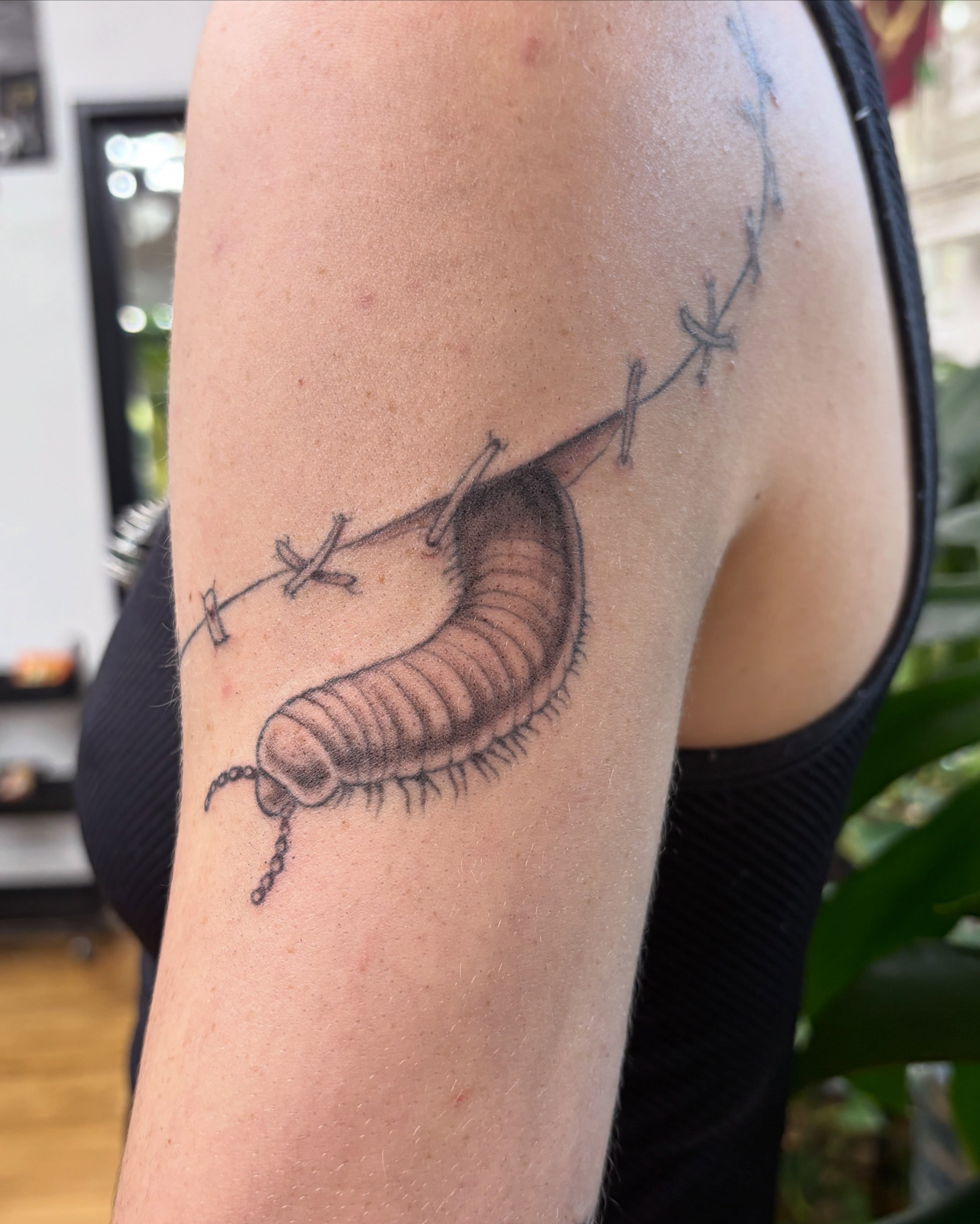 Millipede realism tattoo on the upper arm by Autumn