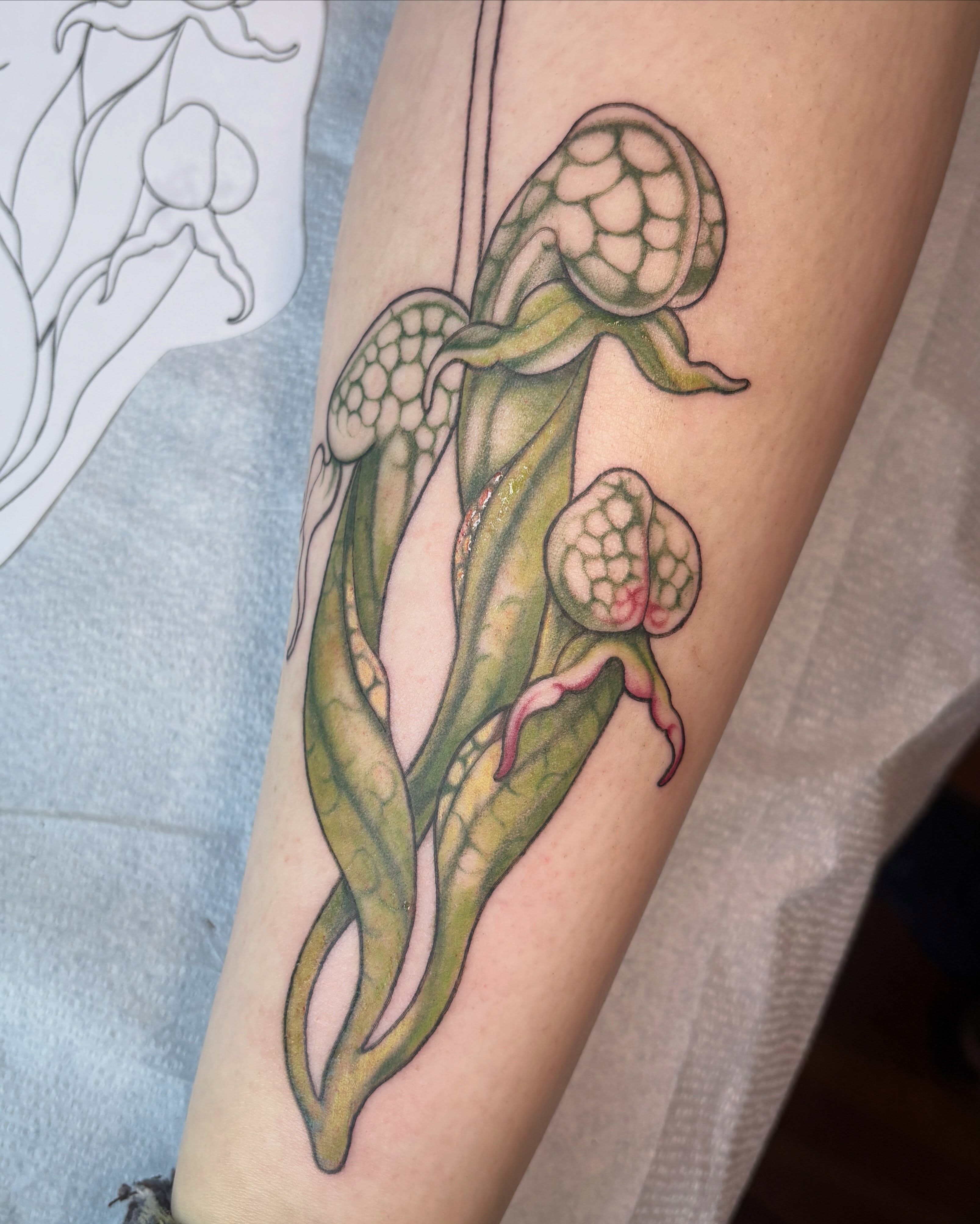 Pitcher plant realism tattoo on the forearm by Autumn