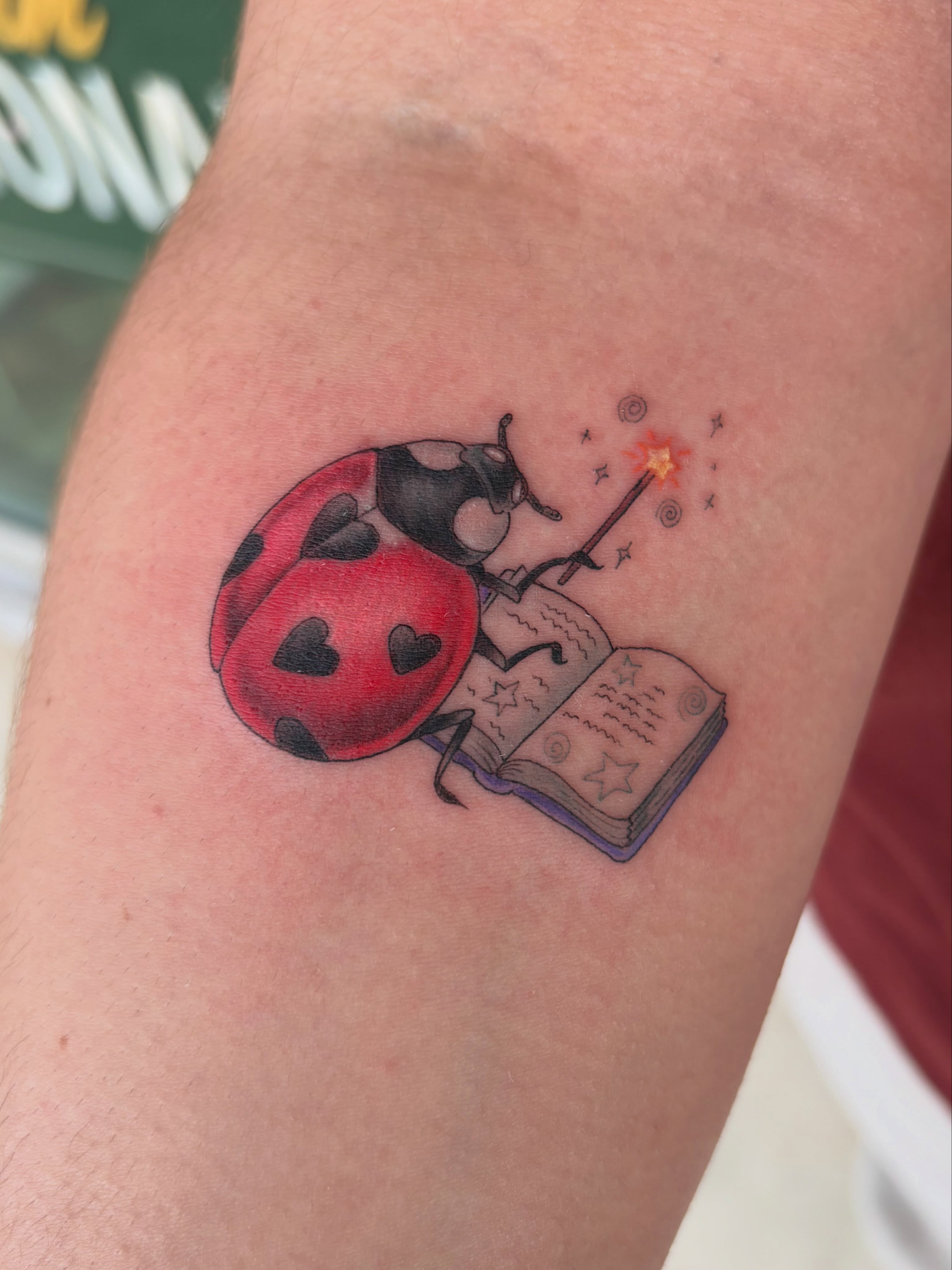 Ladybug and book realism tattoo on the forearm by Miami Tattoo Artist π Mel Carrasco