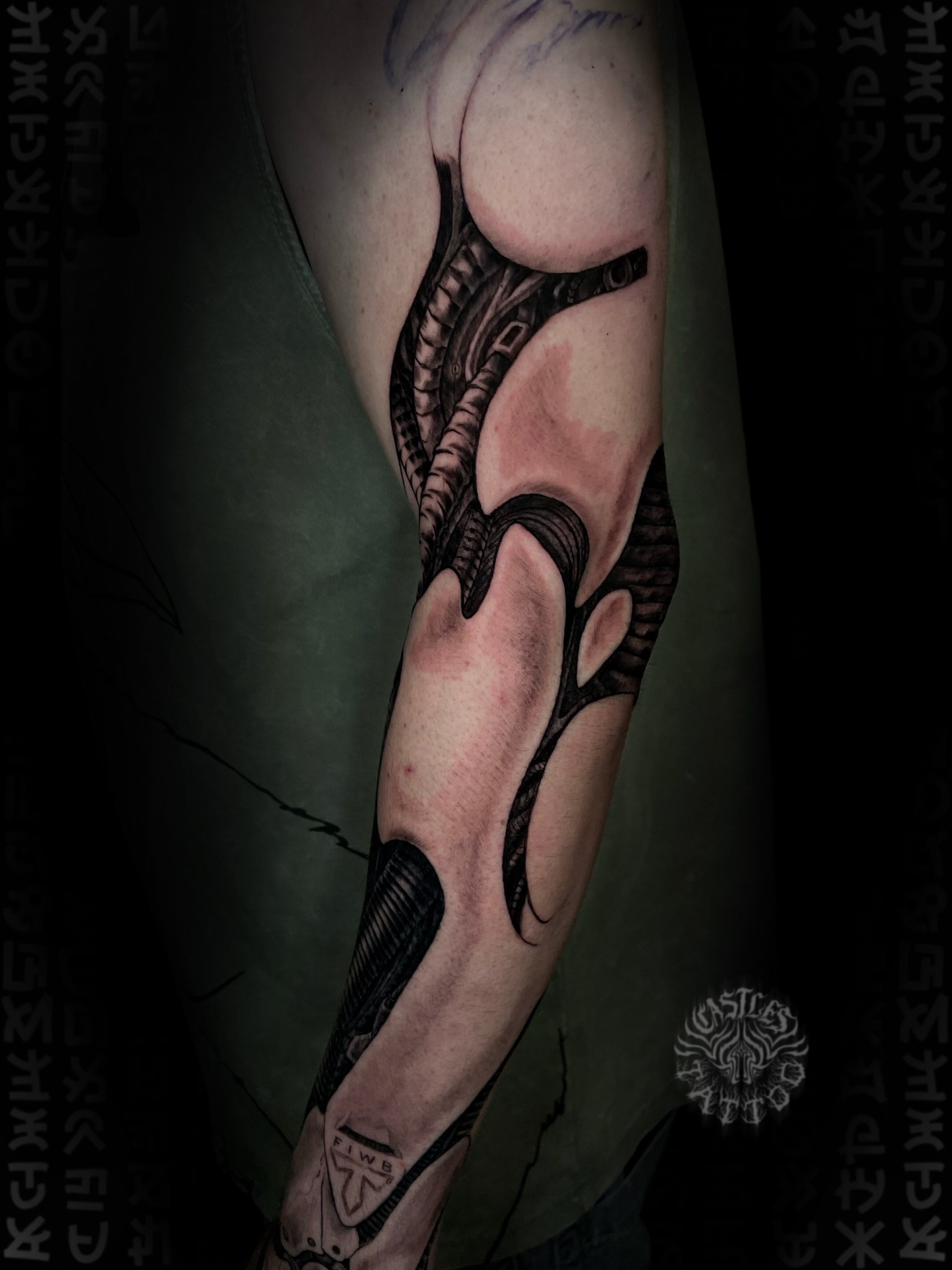 Snake realism tattoo on the forearm by Erin Portland Tattoo Artist